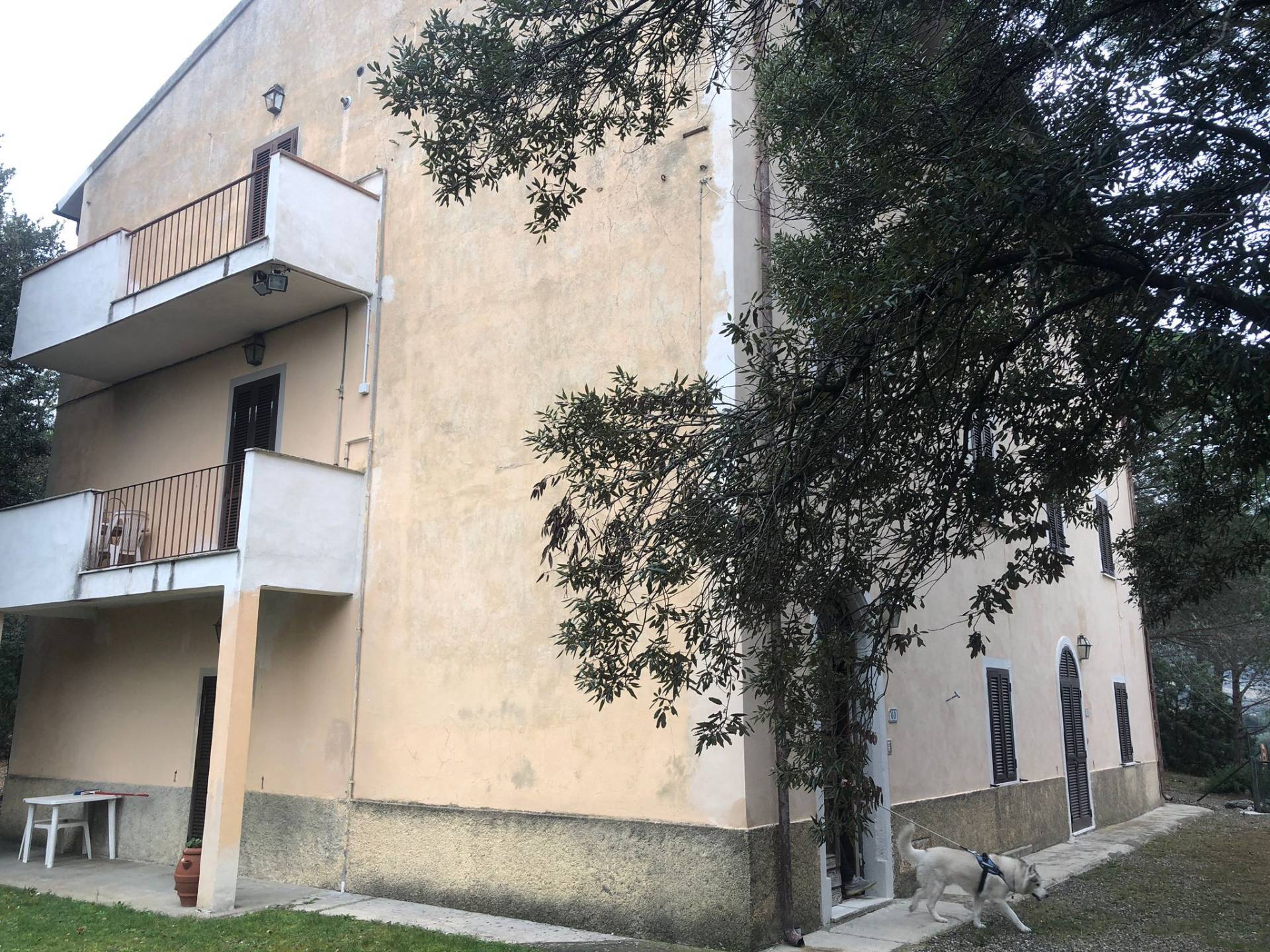 Villa in vendita a Castellina Marittima, Malandrone