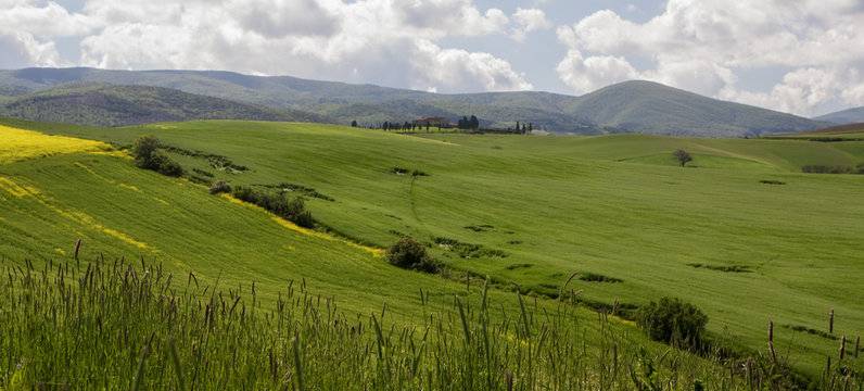 Casa indipendente in vendita a Palaia, Montefoscoli