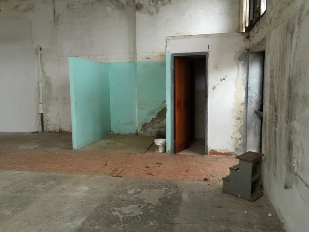 Fondo Artigianale in affitto a Ponsacco, Parco Urbano