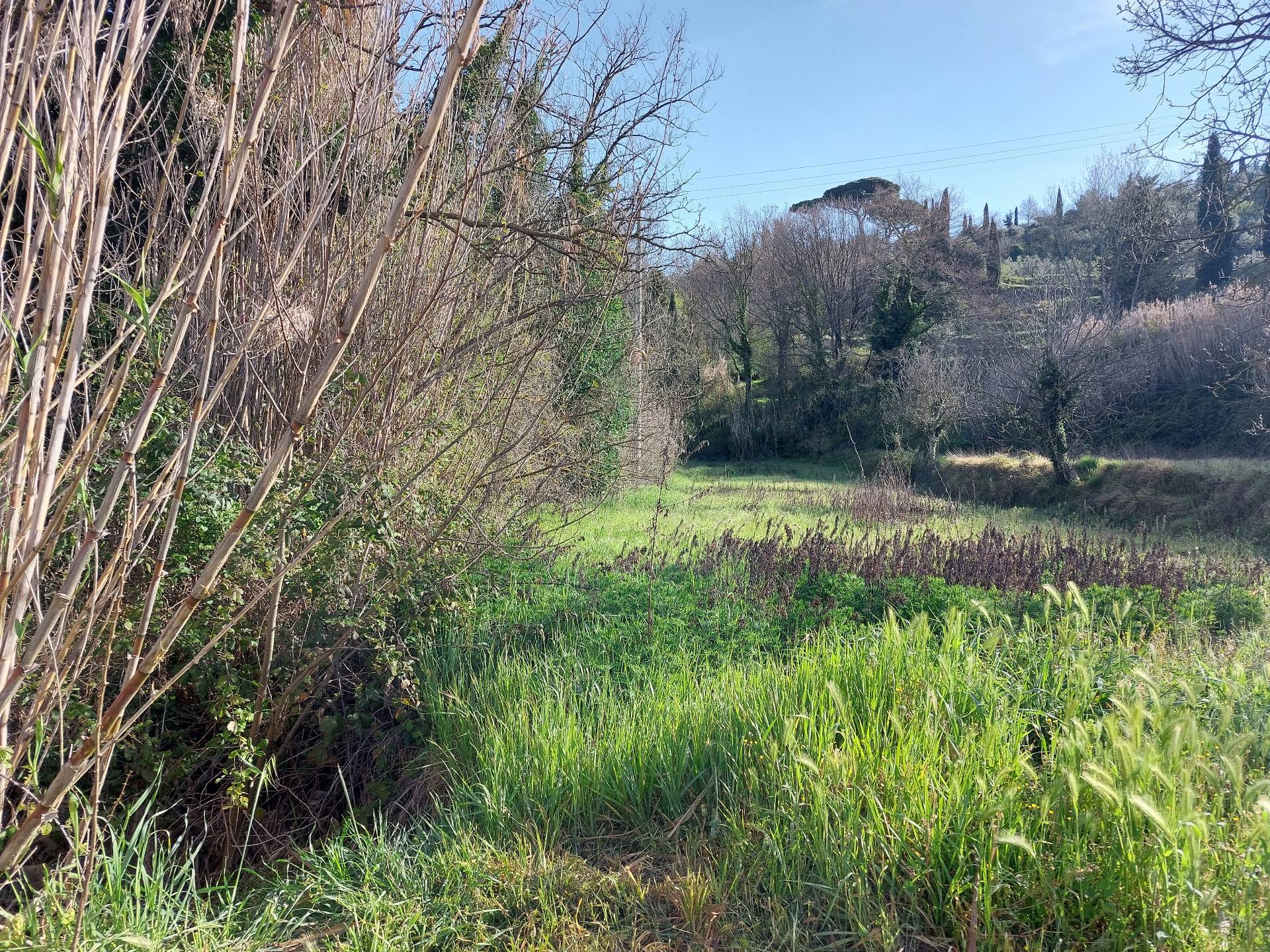 Casa indipendente in vendita a Palaia, Sant'Andrea