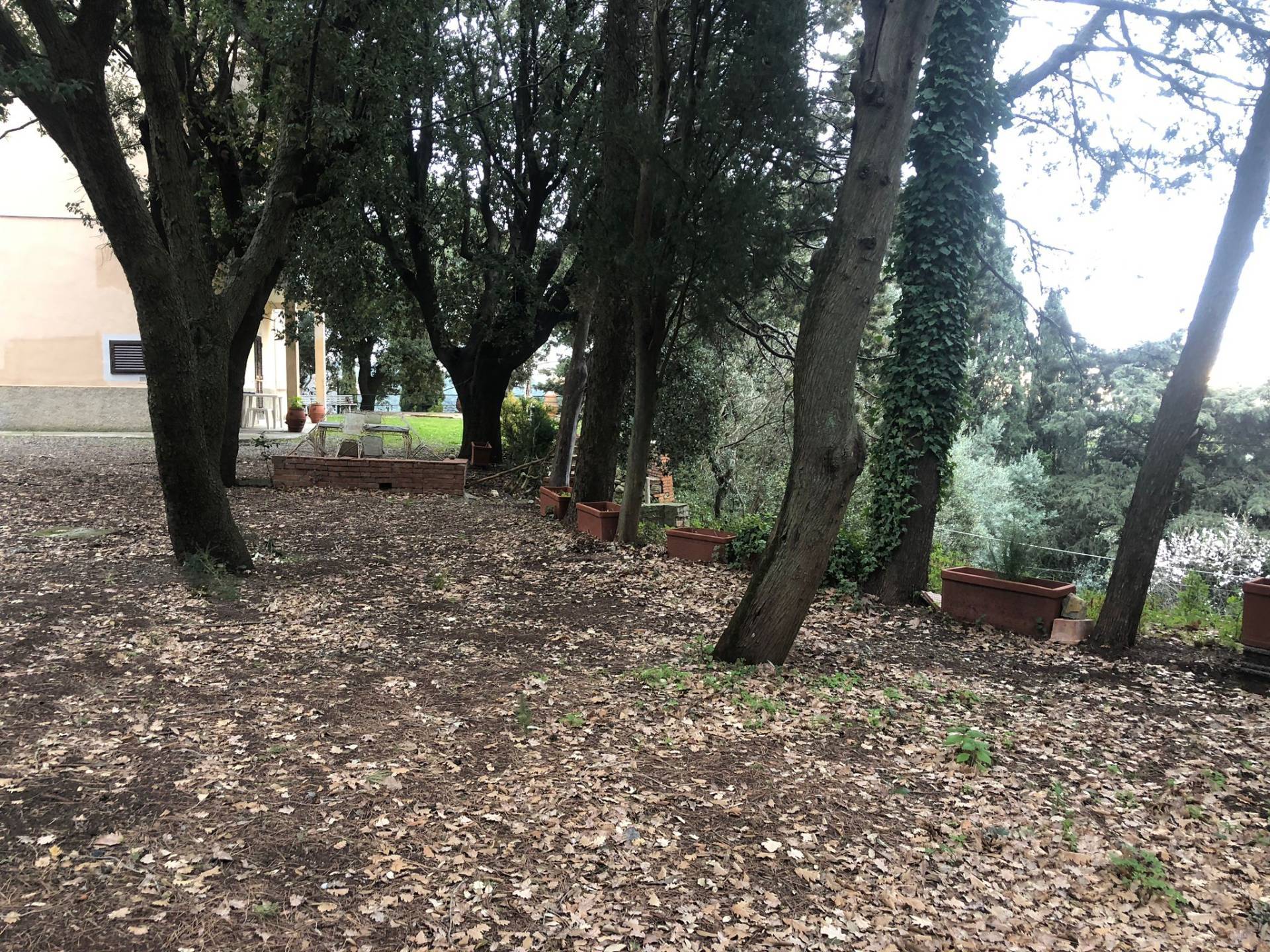 Villa in vendita a Castellina Marittima, Malandrone