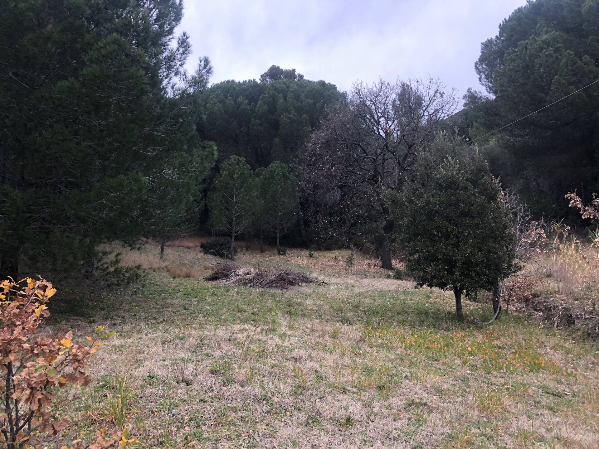 Villa in vendita a Castellina Marittima, Malandrone