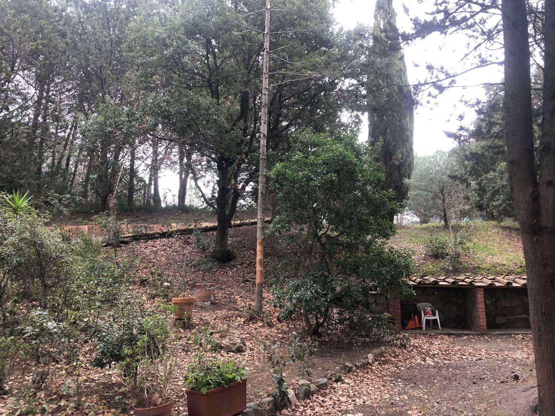 Villa in vendita a Castellina Marittima, Malandrone