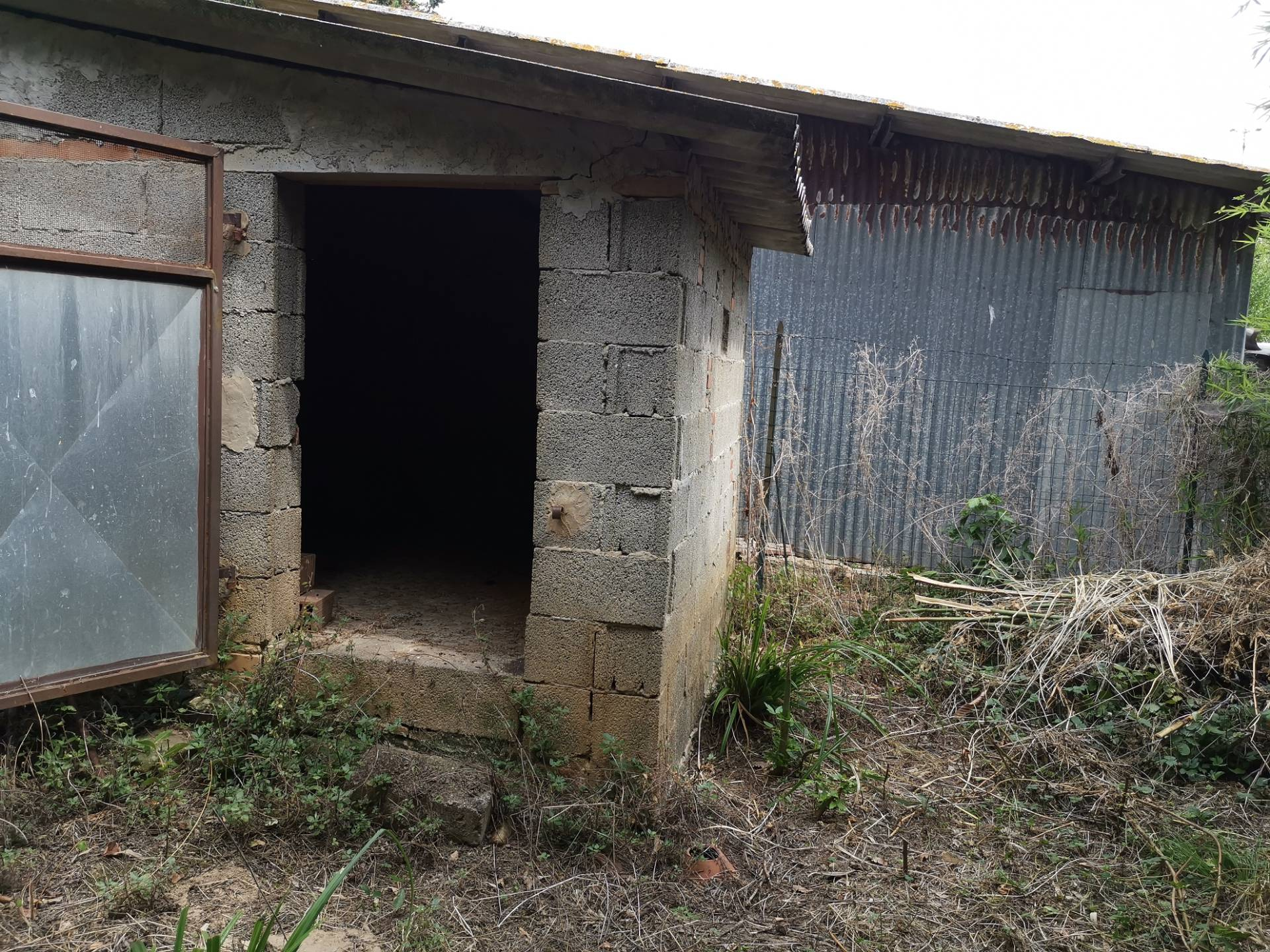 Casa indipendente in vendita a Buti, Cascine Di Buti