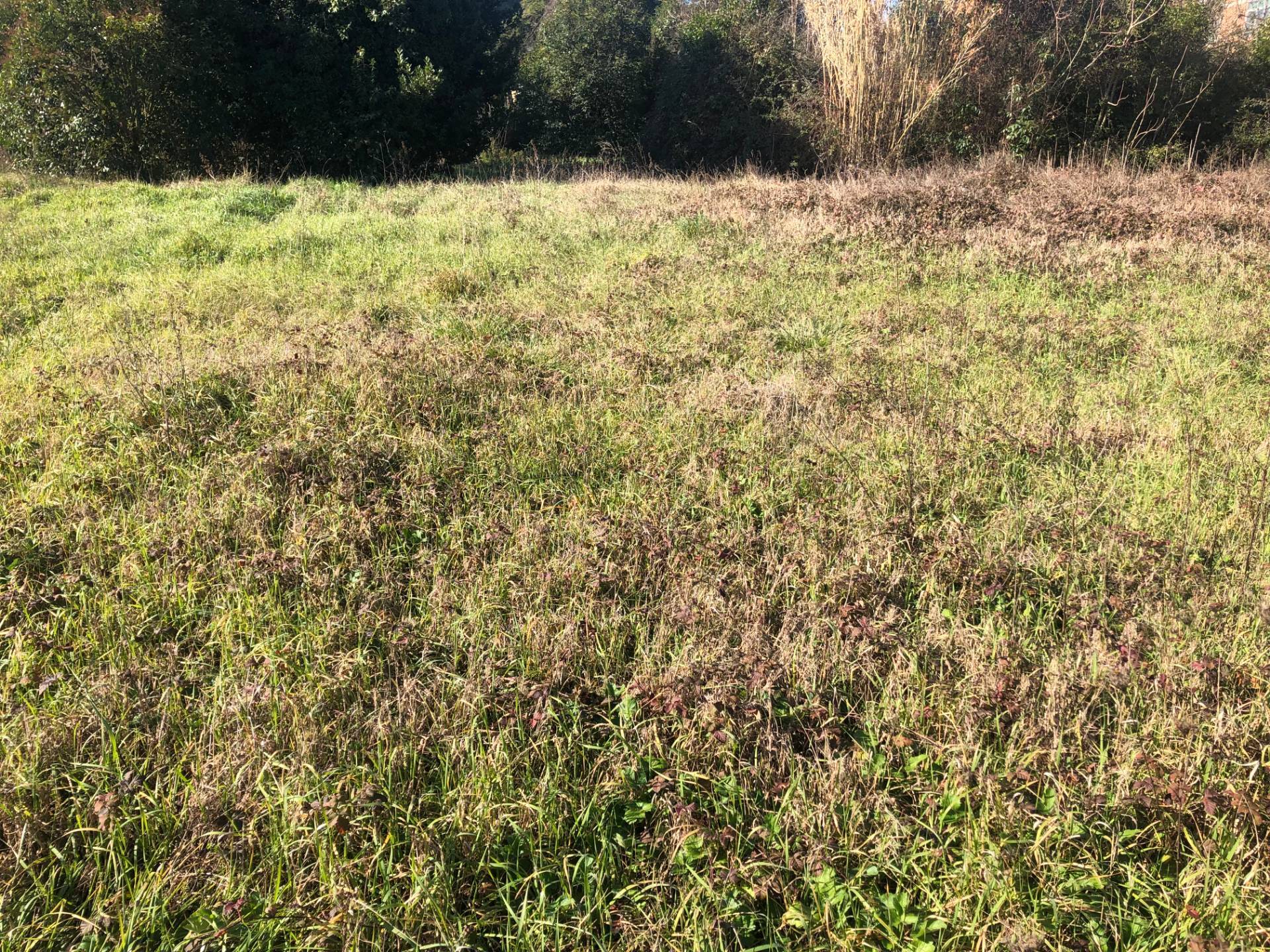 Terreno edificabile in vendita a Pontedera