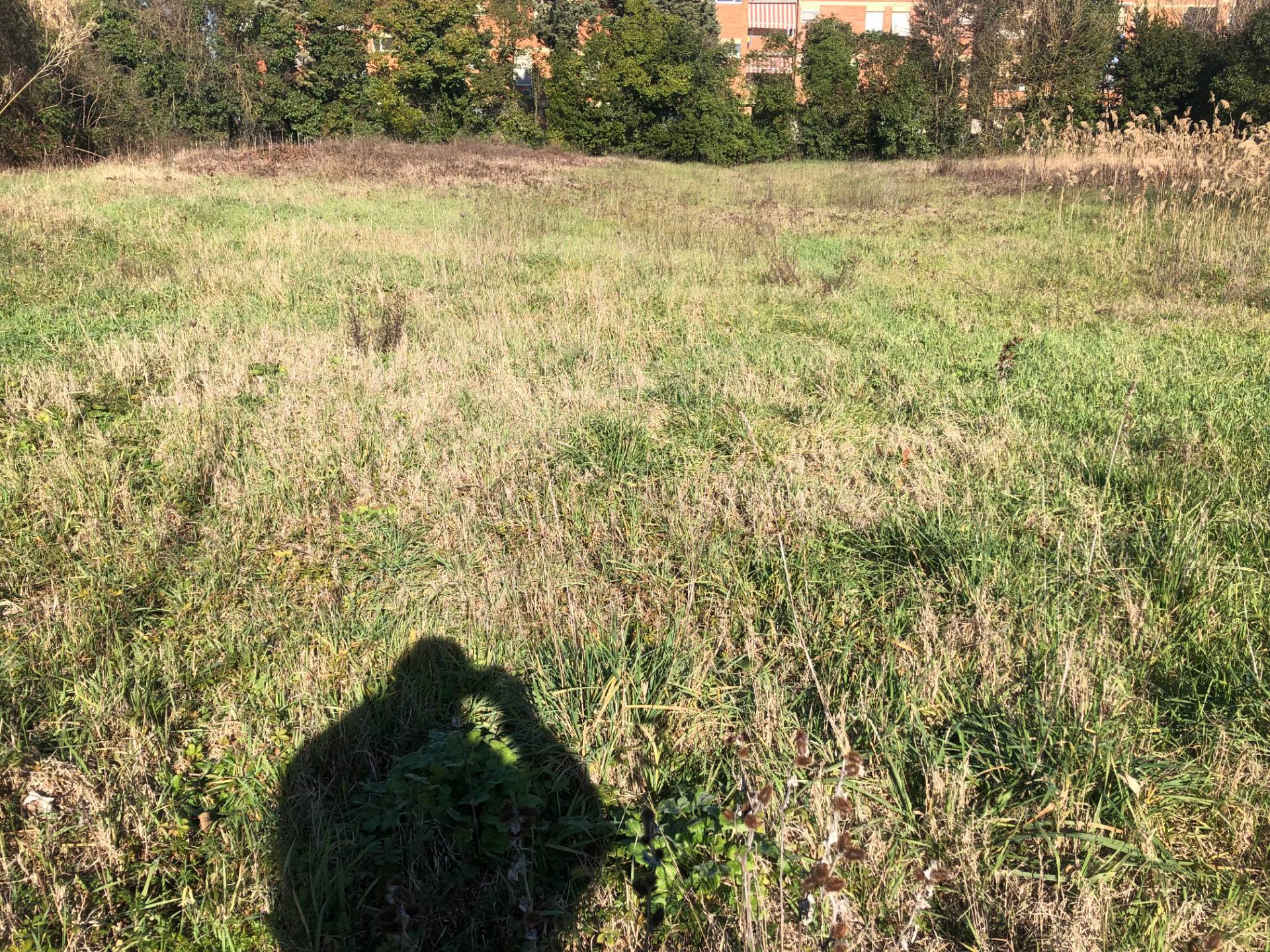 Terreno edificabile in vendita a Pontedera