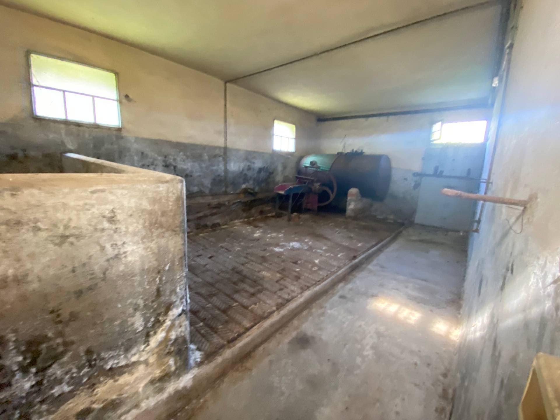 Casa indipendente in vendita a Montopoli in Val d'Arno, Capanne