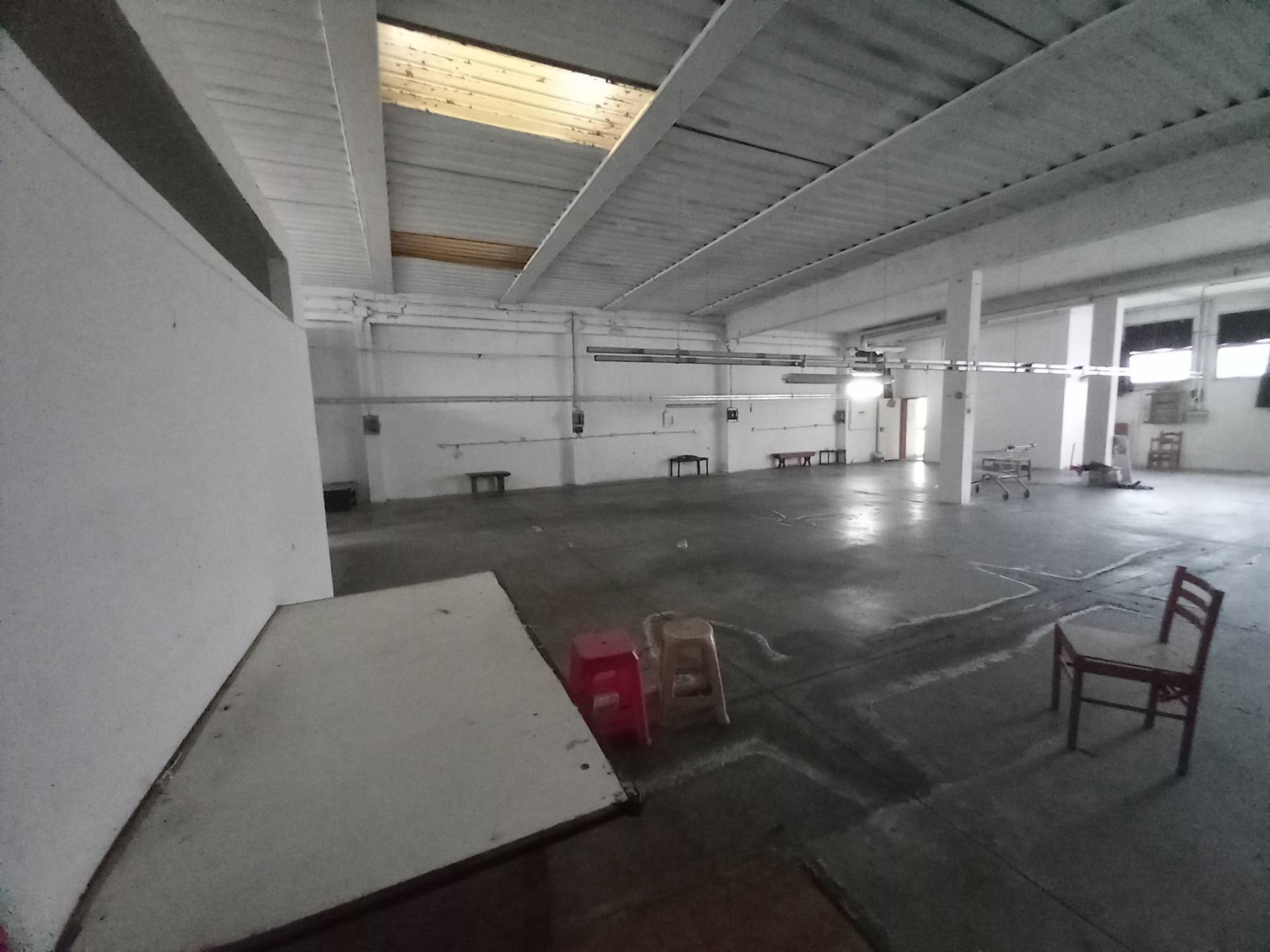 Fondo Artigianale in affitto a Montopoli in Val d'Arno, San Romano