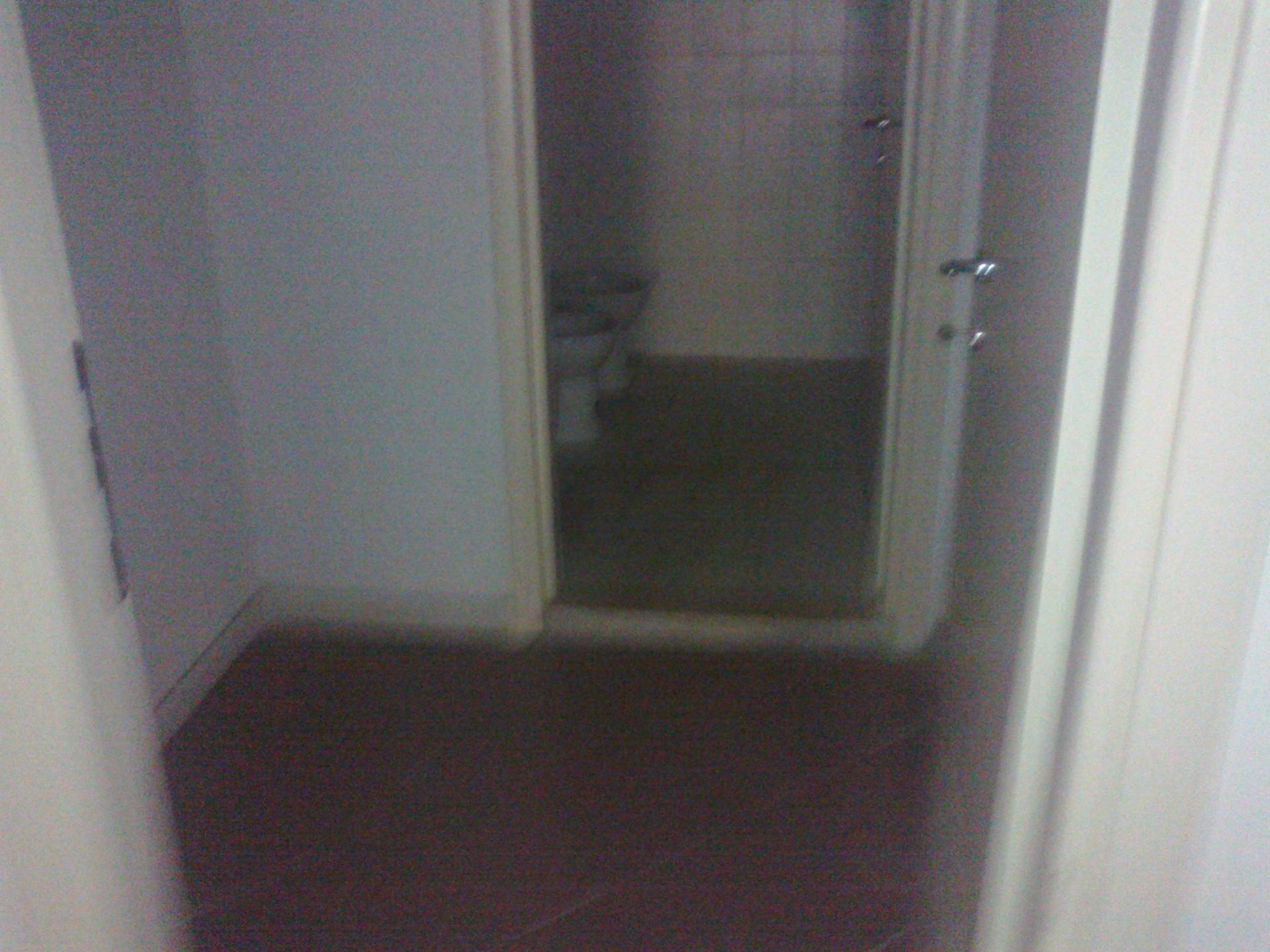 Fondo Commerciale in affitto a Bientina, Bientina