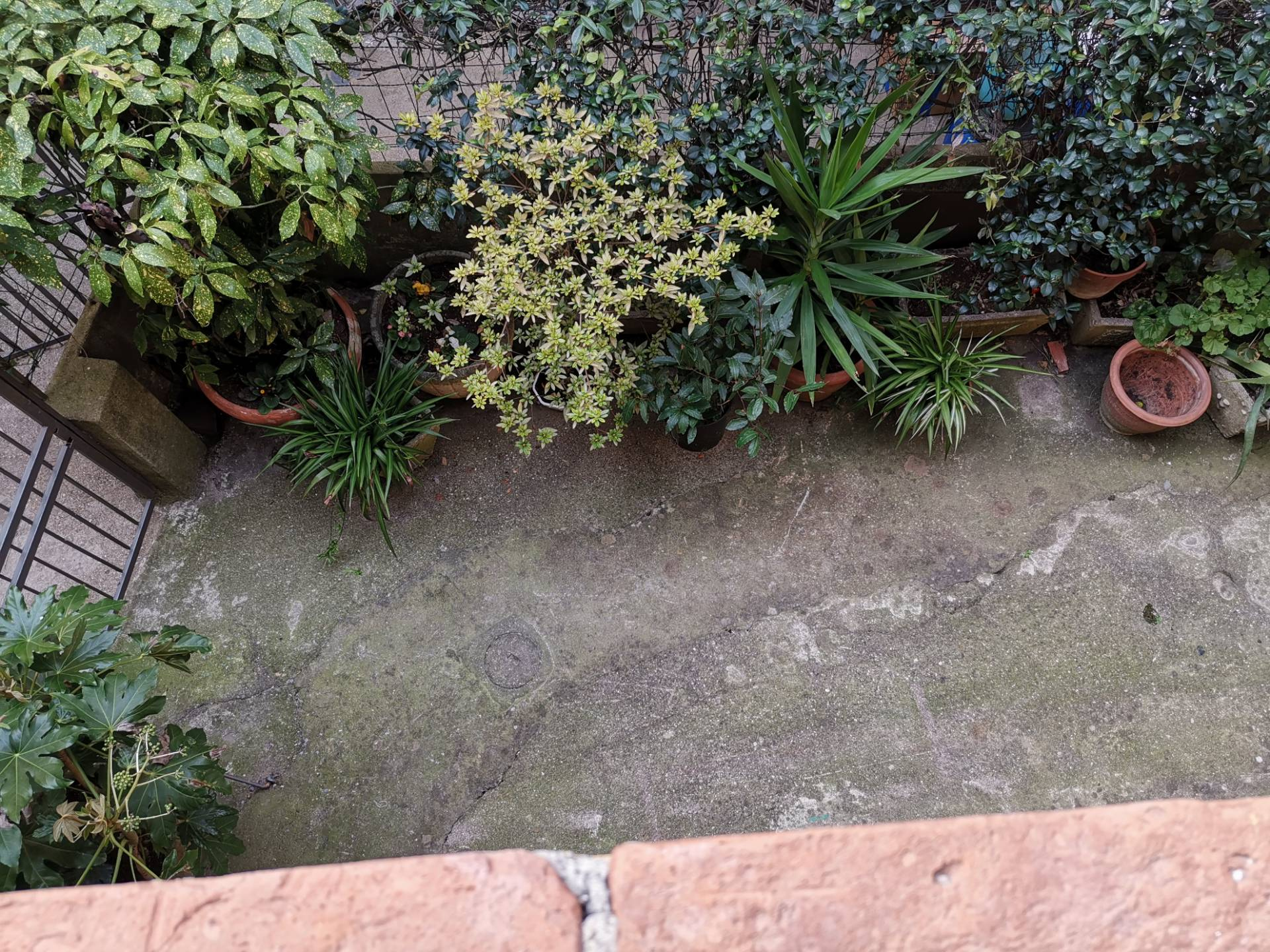 Appartamento in affitto a Buti, Buti