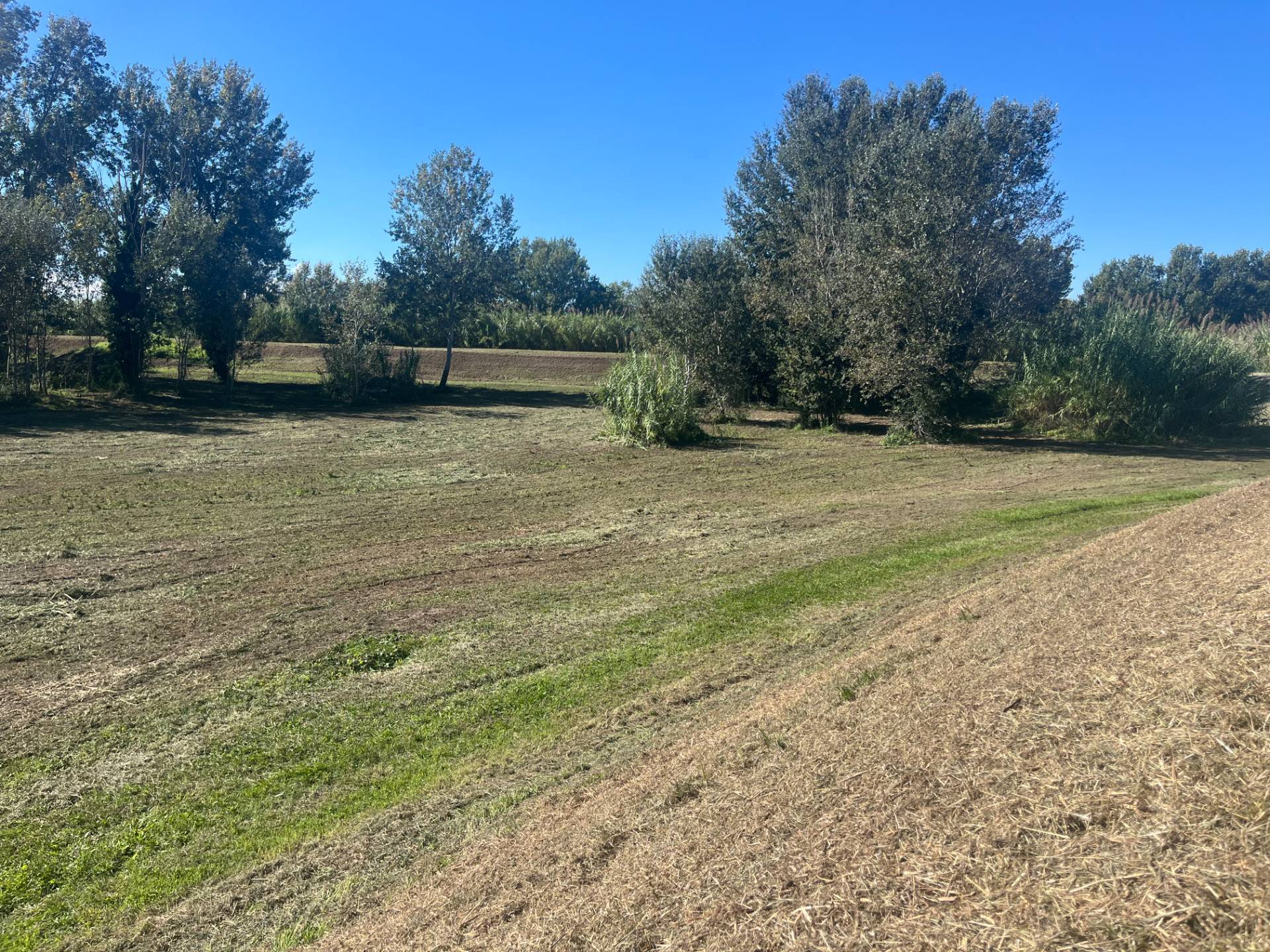 Terreno edificabile in vendita a Lajatico, Lajatico
