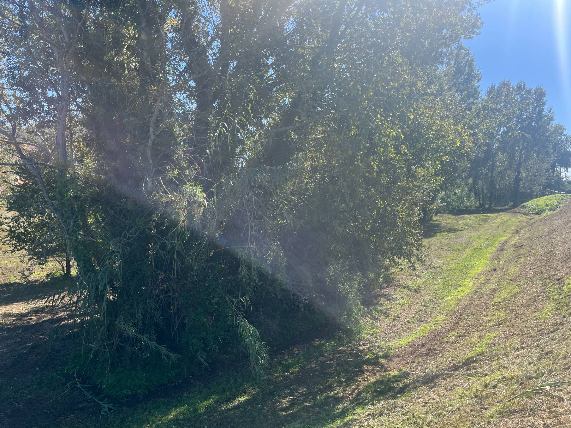 Terreno edificabile in vendita a Lajatico, Lajatico