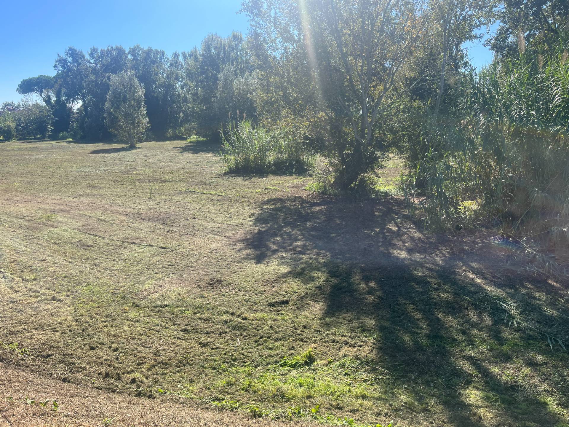 Terreno edificabile in vendita a Lajatico, Lajatico