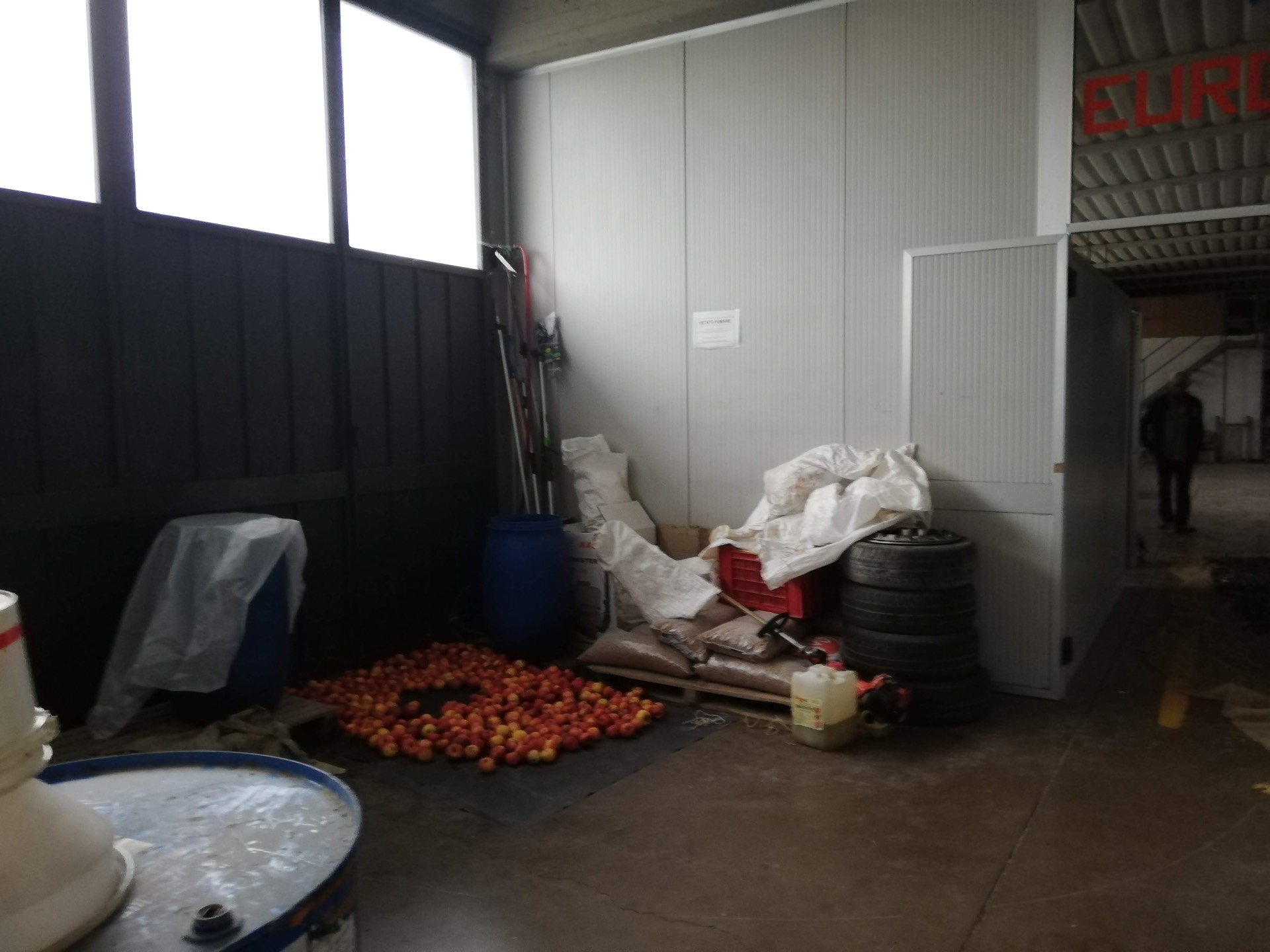 Capannone in affitto a Montopoli in Val d'Arno, Capanne