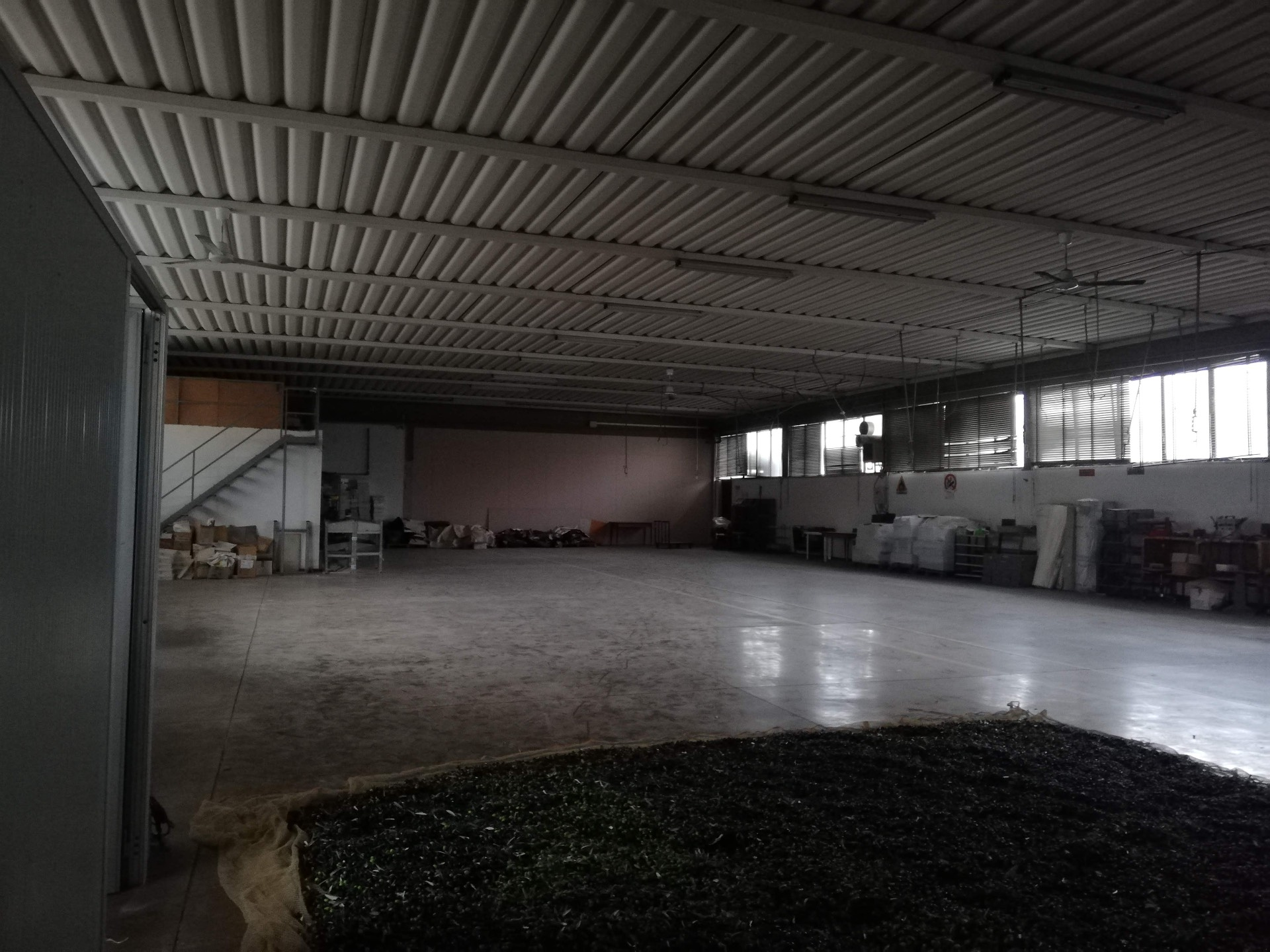 Capannone in affitto a Montopoli in Val d'Arno, Capanne