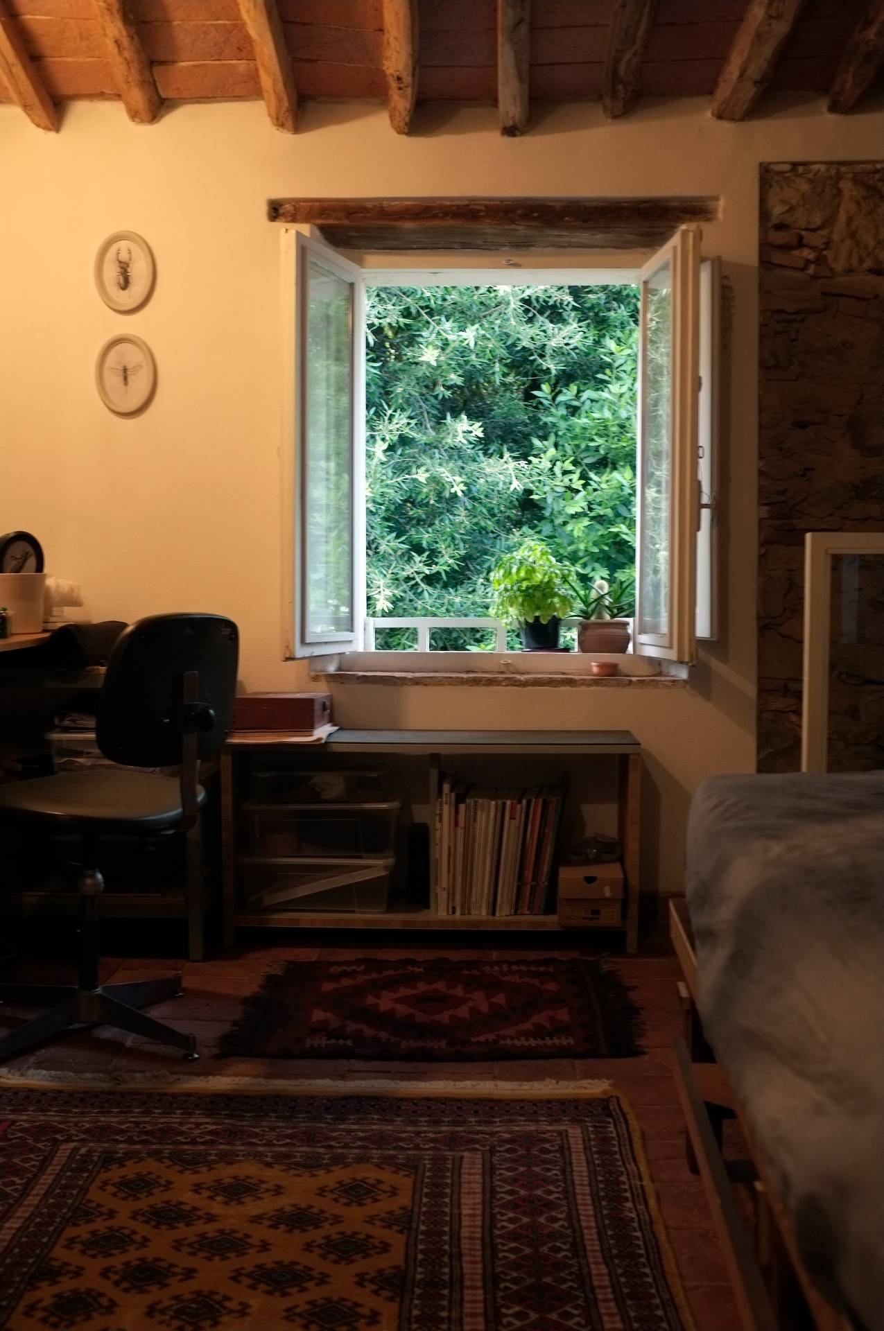 Appartamento in affitto a Buti