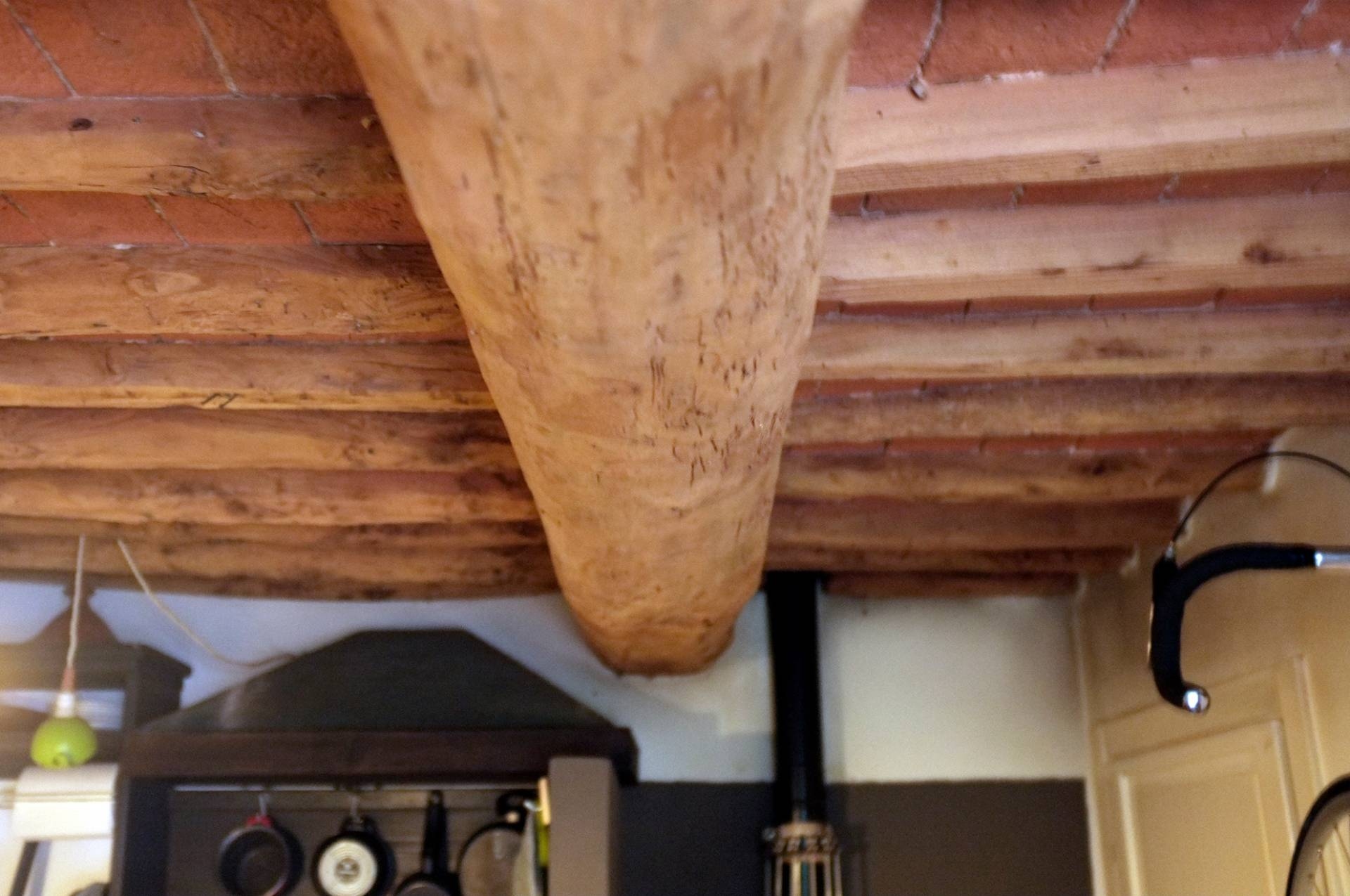 Appartamento in affitto a Buti