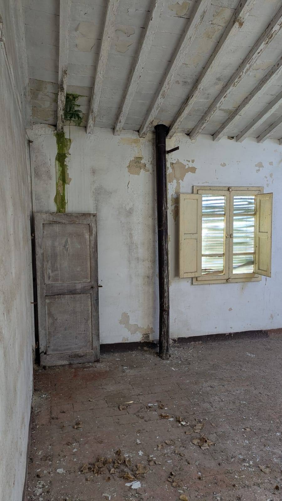 Casa indipendente in vendita a Palaia, Alica