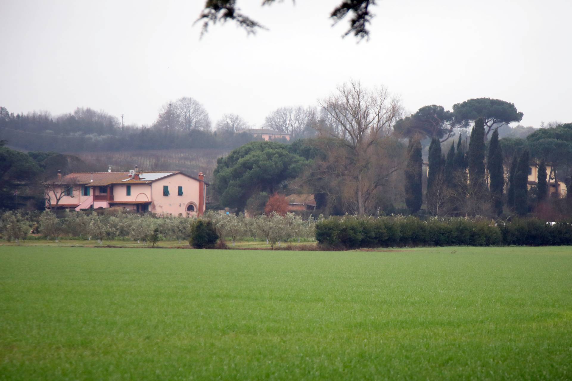 Casa indipendente in vendita a Fauglia, Fauglia