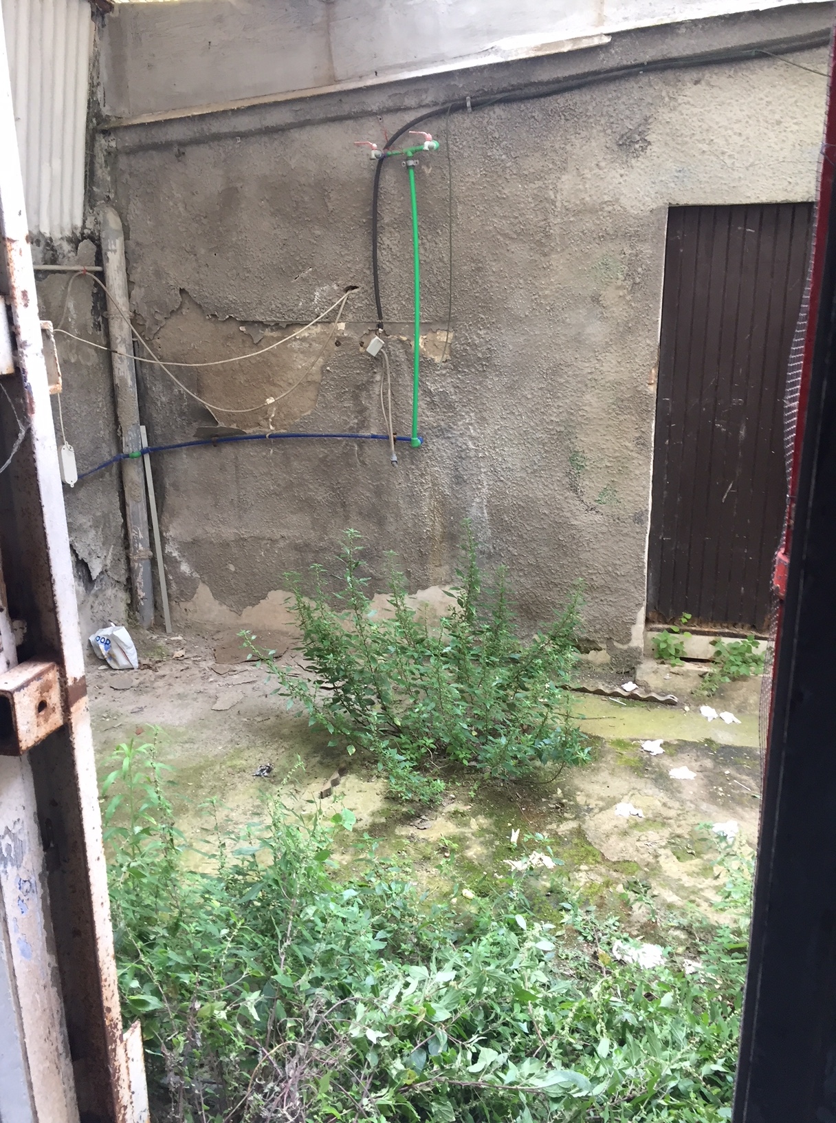 Fondo Commerciale in affitto a Livorno, Porta a Mare