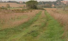 Fondo Commerciale in affitto a Collesalvetti, Collesalvetti