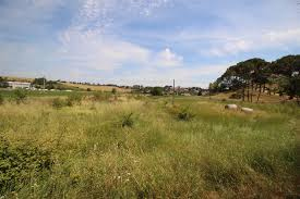 Fondo Commerciale in affitto a Collesalvetti, Collesalvetti