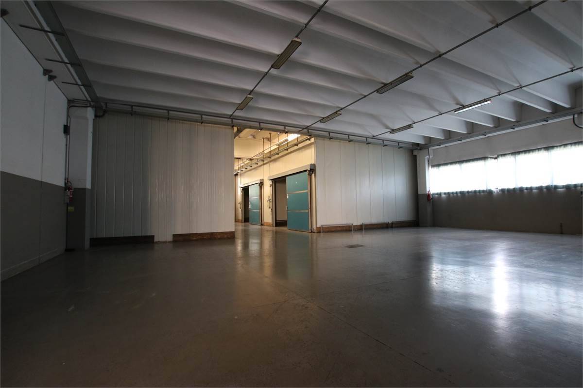 Fondo Commerciale in affitto a Fauglia, Valtriano