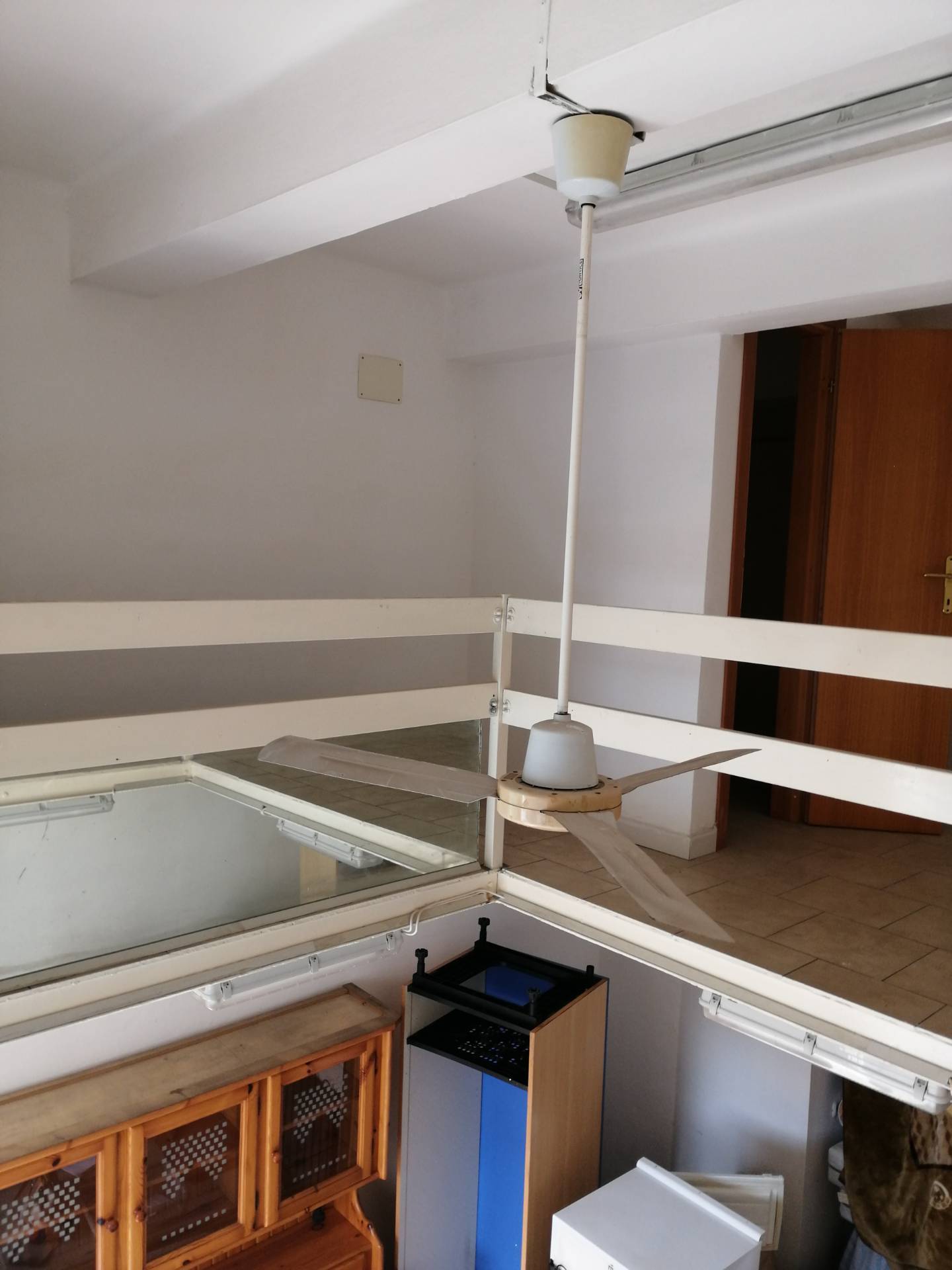 Fondo Commerciale in affitto a Livorno, Porta a Mare