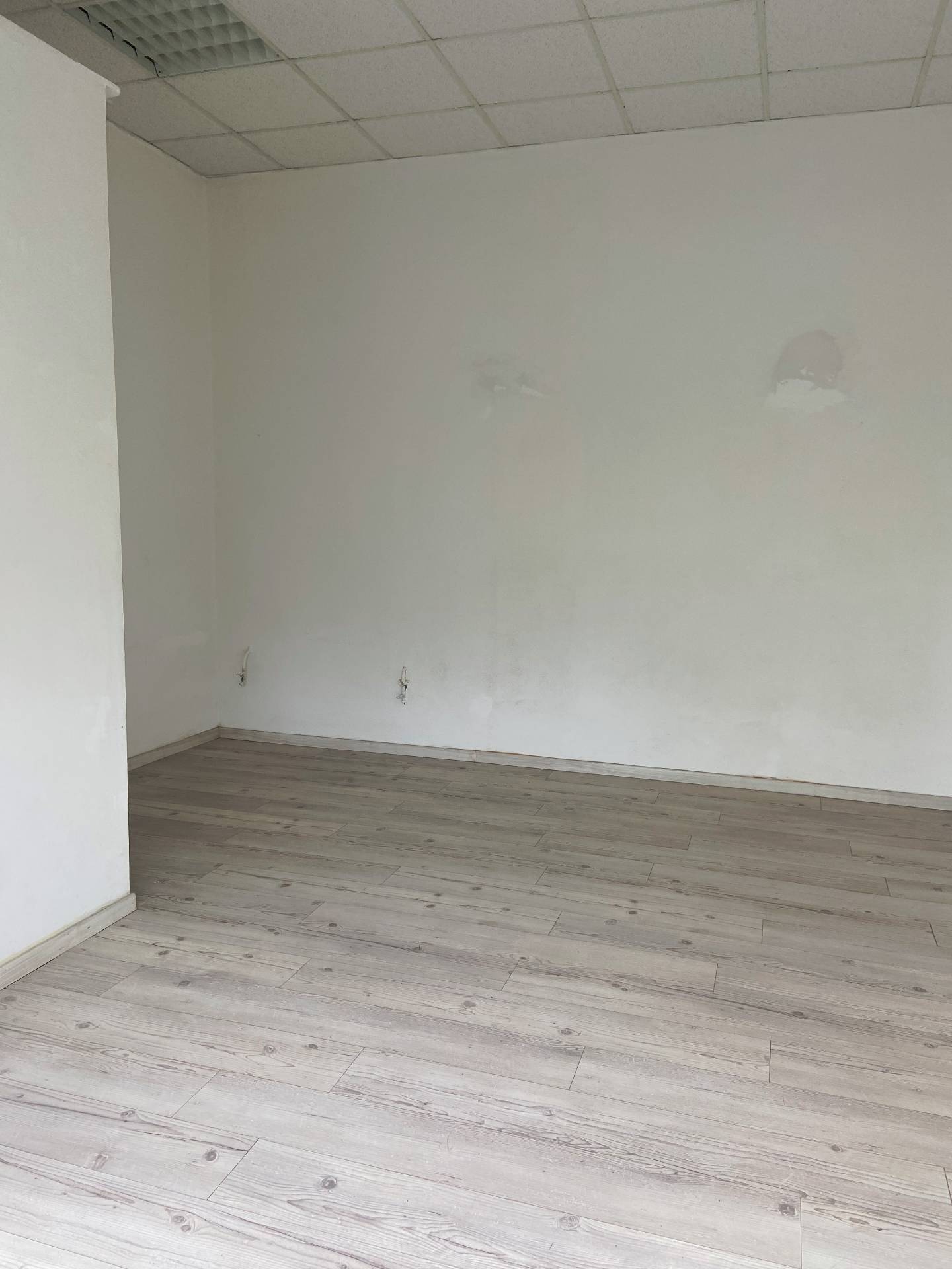 Fondo Commerciale in affitto a Livorno, Fabbricotti