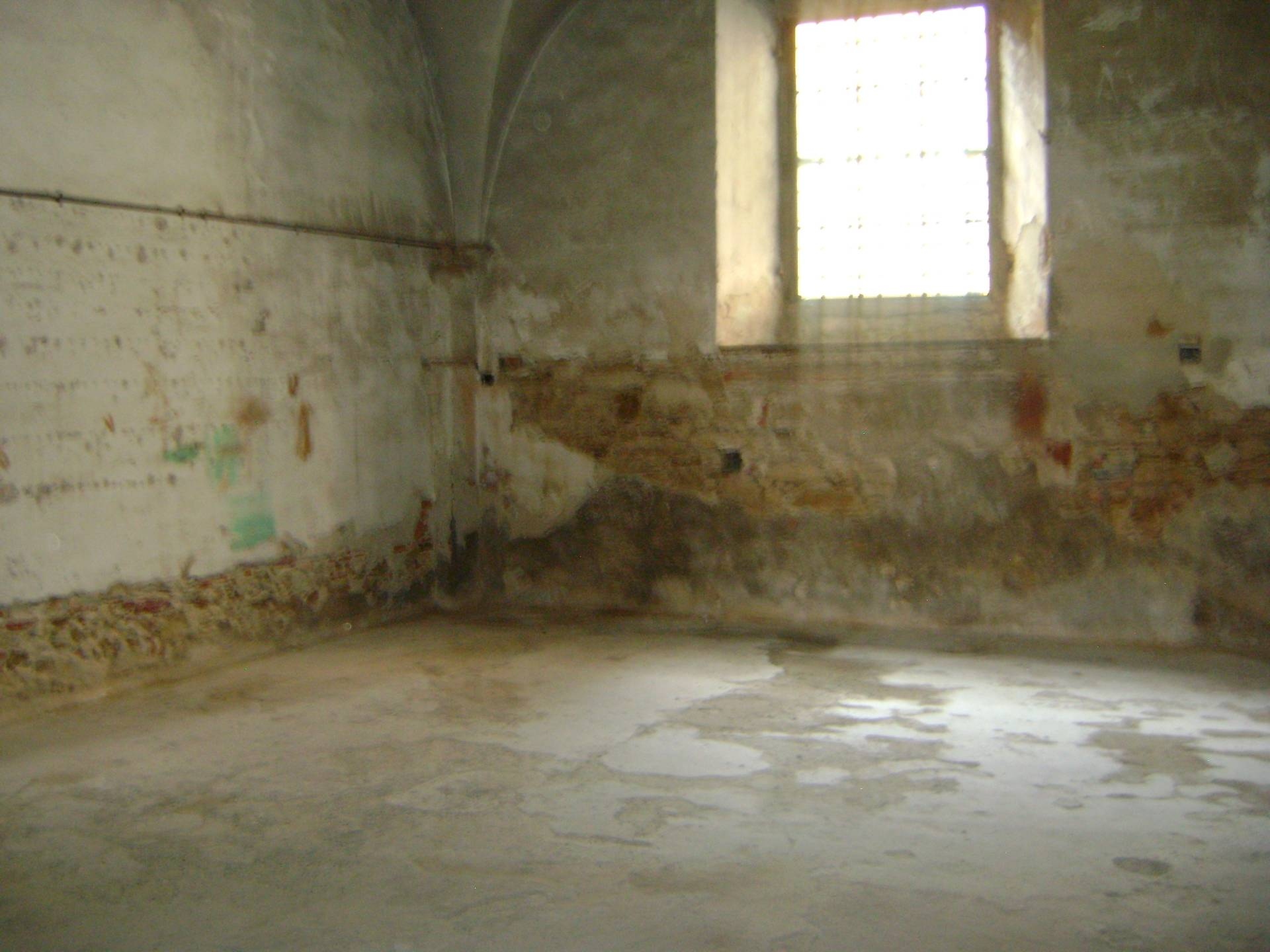 Fondo Commerciale in affitto a Livorno, Venezia - Pontino