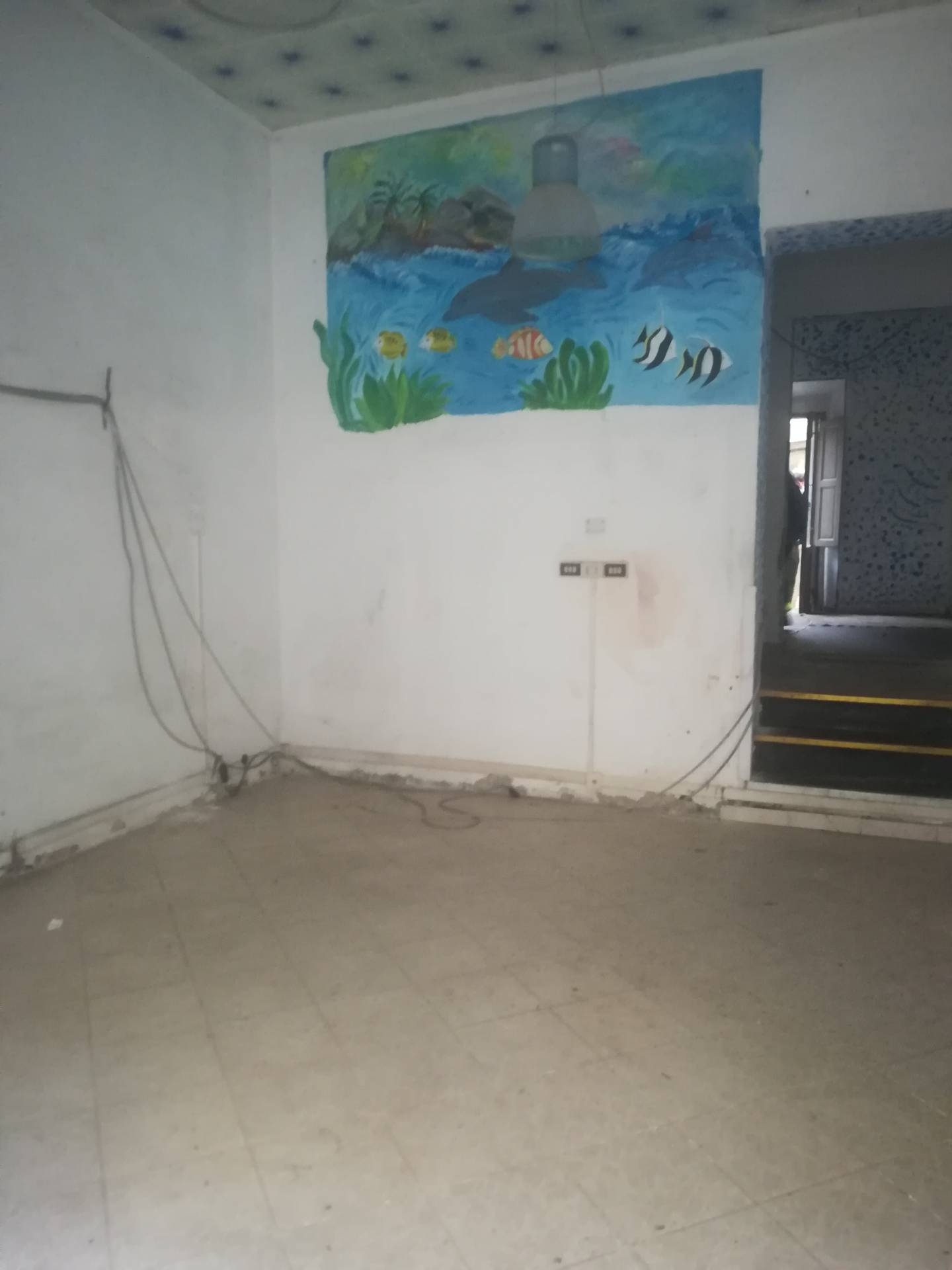 Fondo Commerciale in affitto a Livorno, Porta a Mare