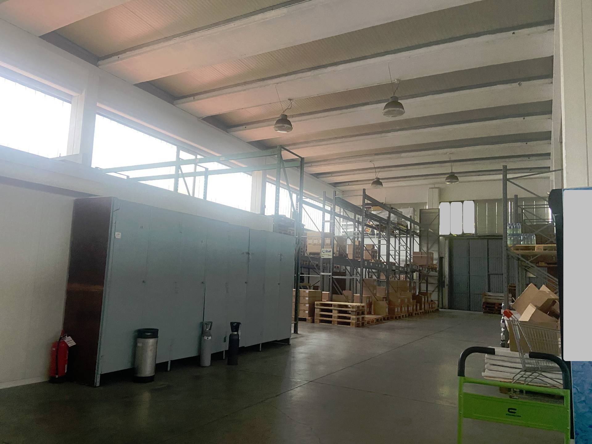 Fondo Commerciale in affitto a Collesalvetti, Stagno