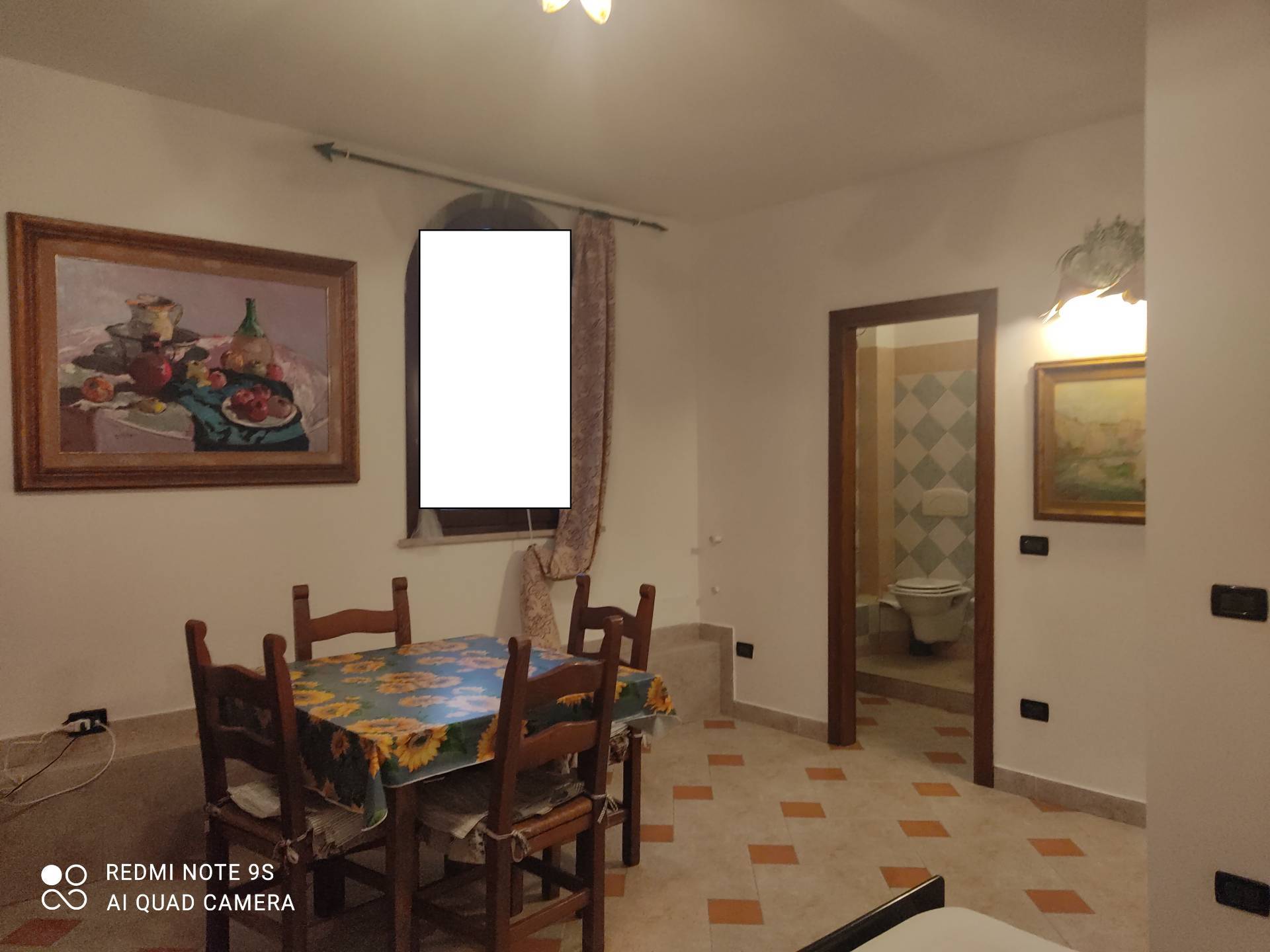 Appartamento in affitto a Fauglia, Fauglia