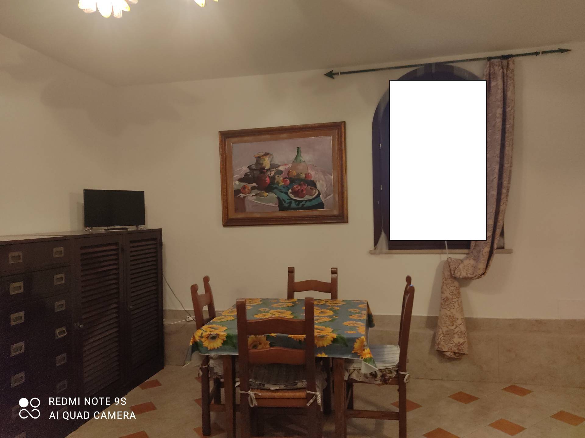 Appartamento in affitto a Fauglia, Fauglia