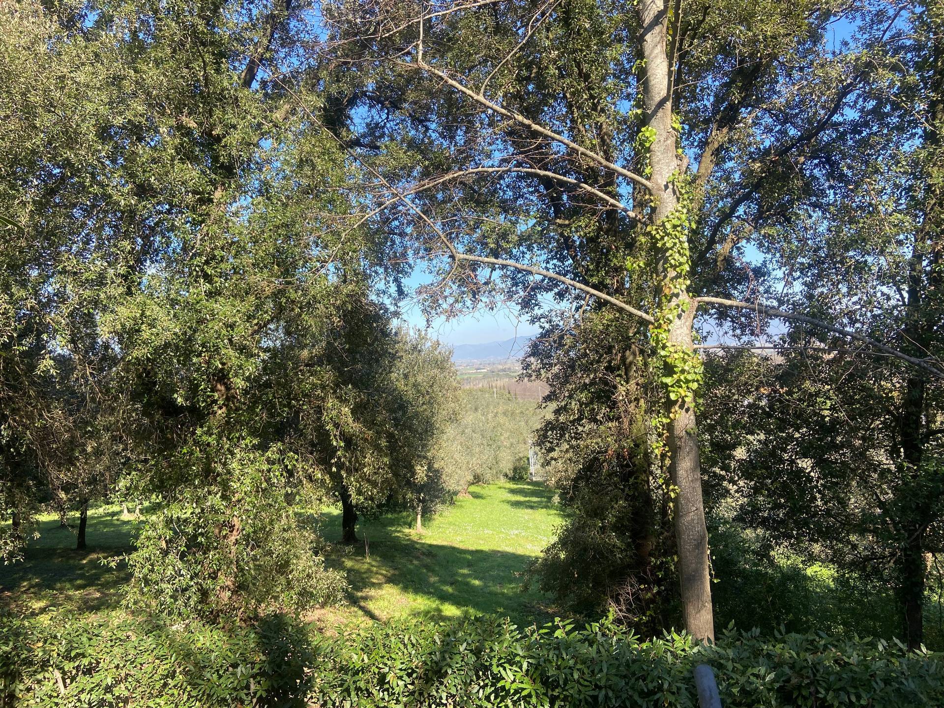 Appartamento in affitto a Fauglia, Fauglia
