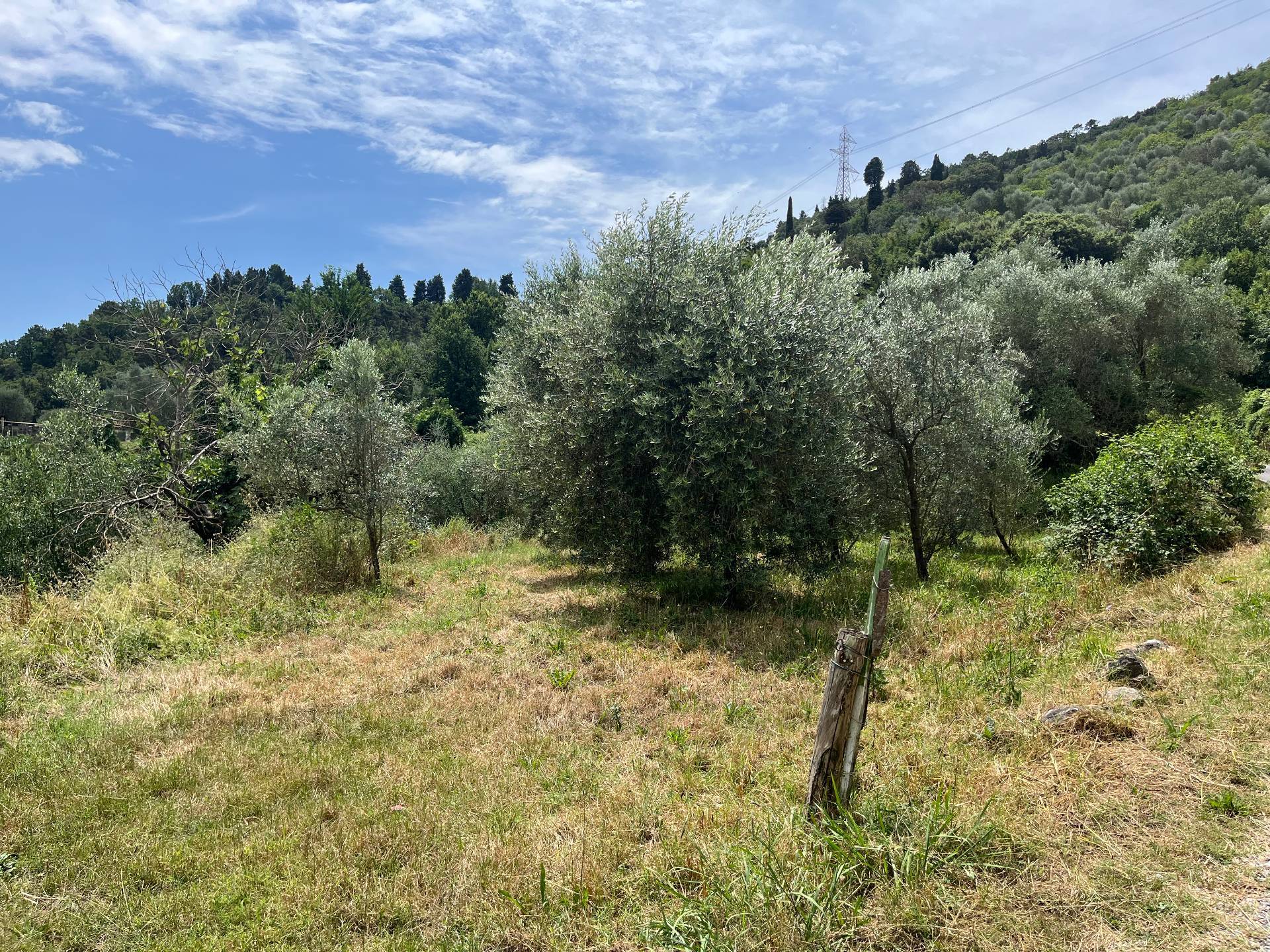 Terreno in vendita, Lucca santa maria del giudice