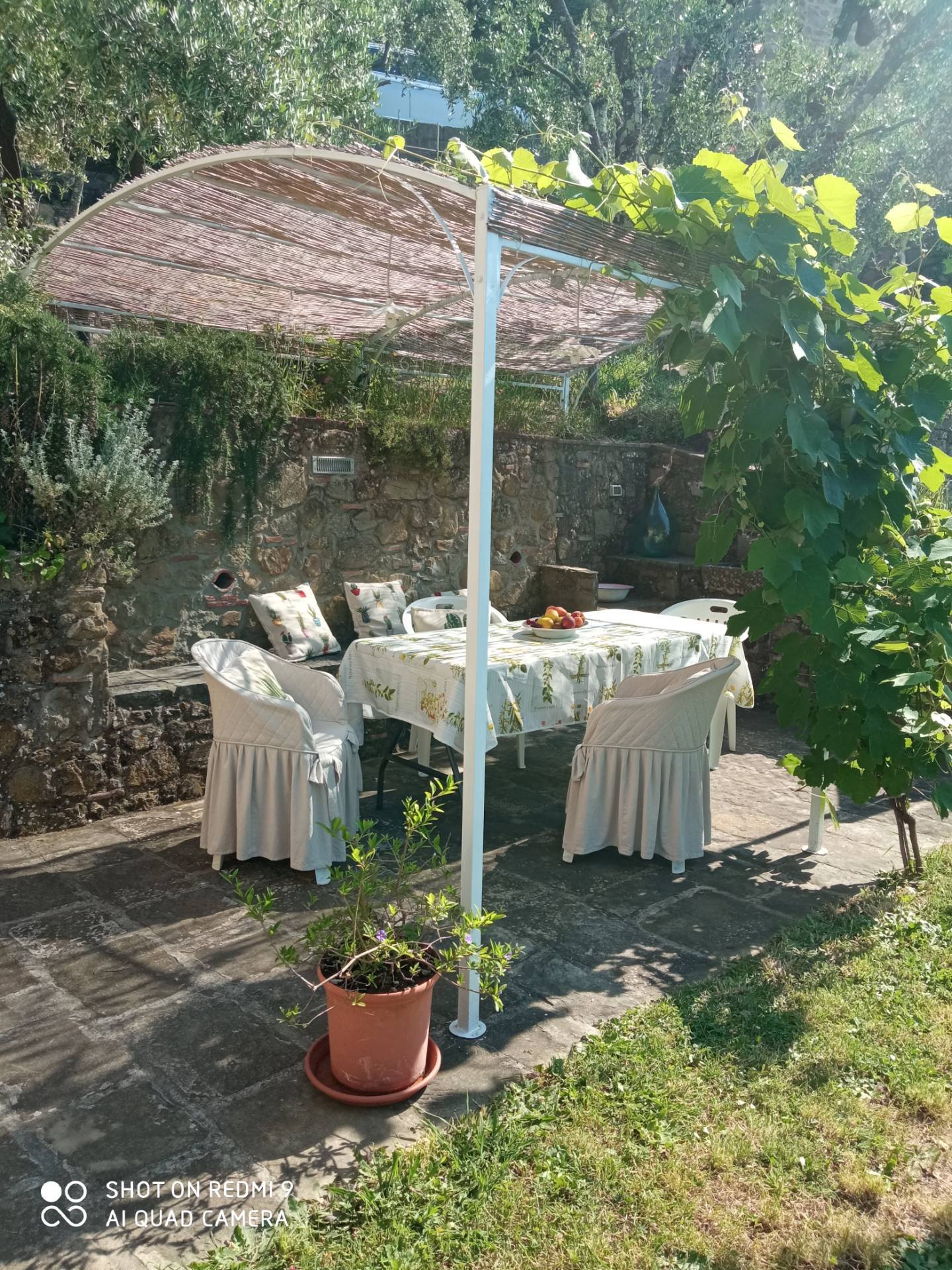 Casa indipendente in affitto a Capannori, Petrognano