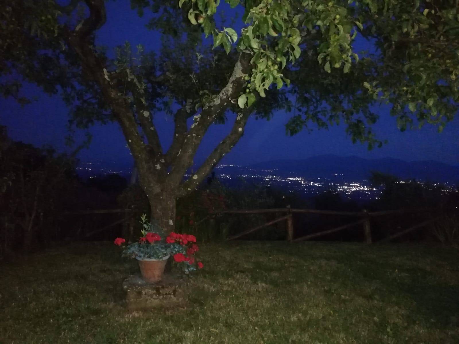 Casa indipendente in affitto a Capannori, Petrognano