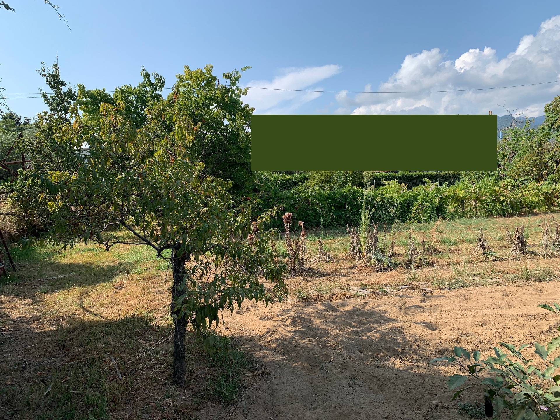 Terreno in vendita a Pietrasanta, Ponterosso
