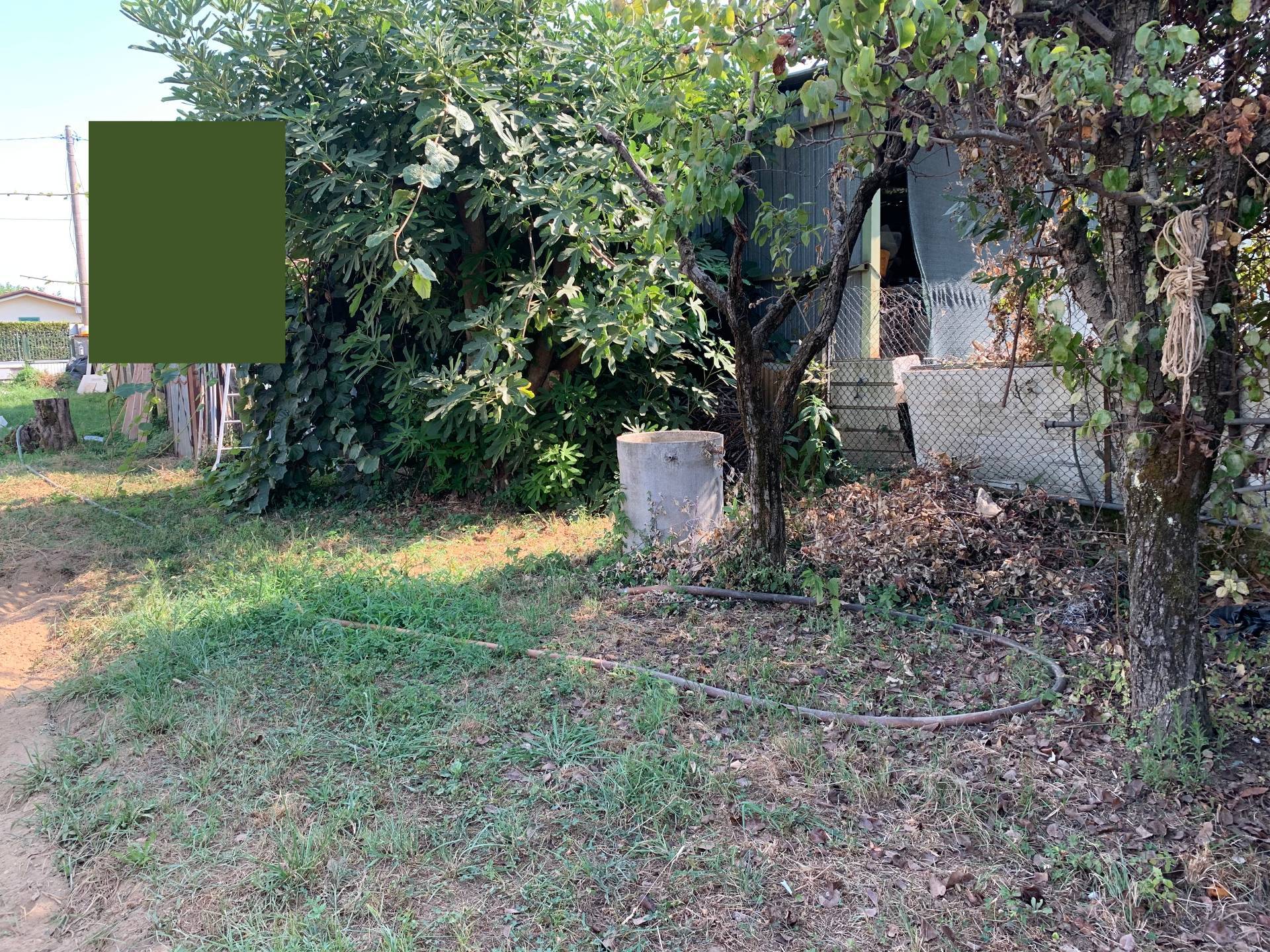 Terreno in vendita a Pietrasanta, Ponterosso