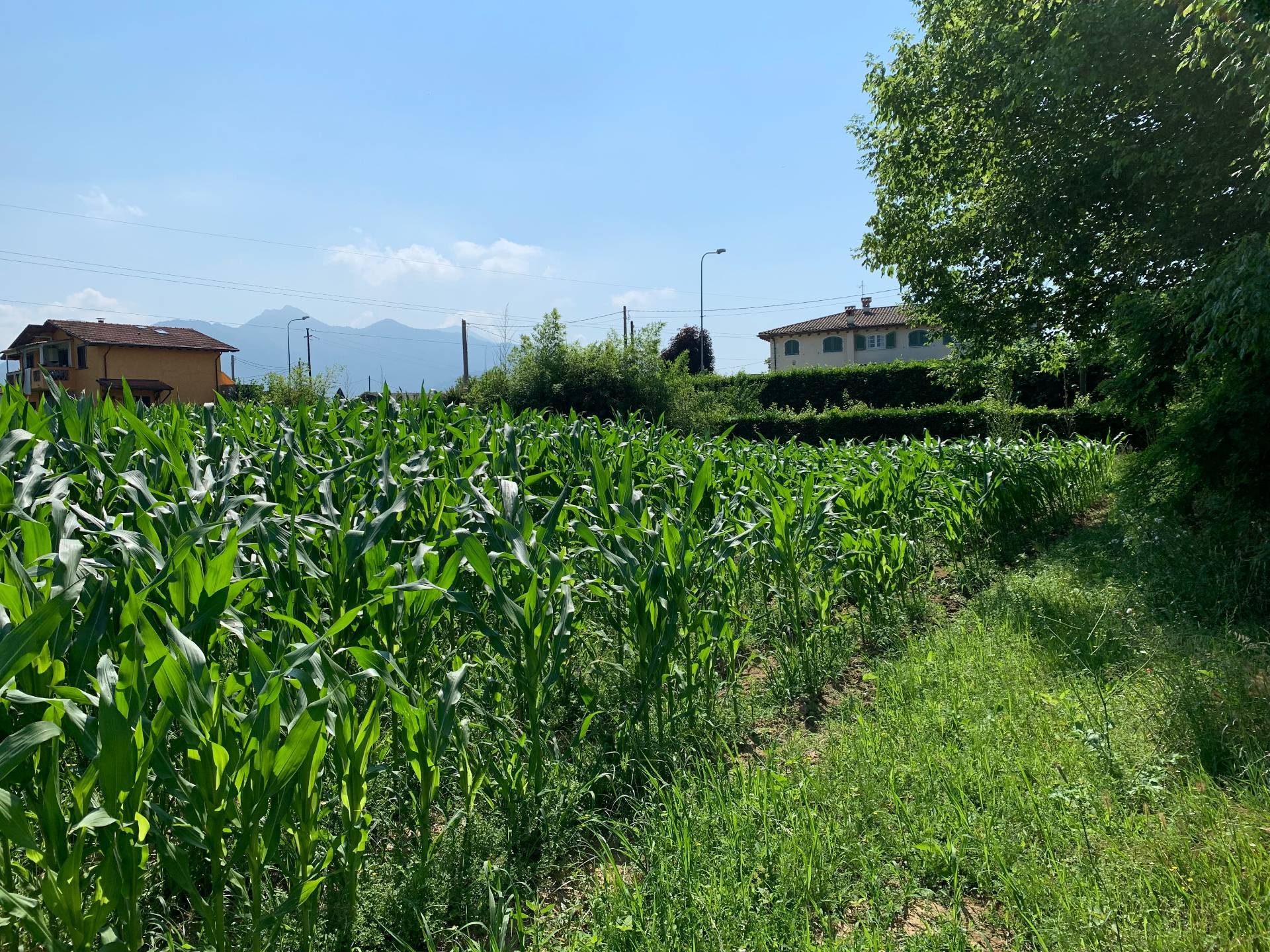 immagine annuncio 1 di 6