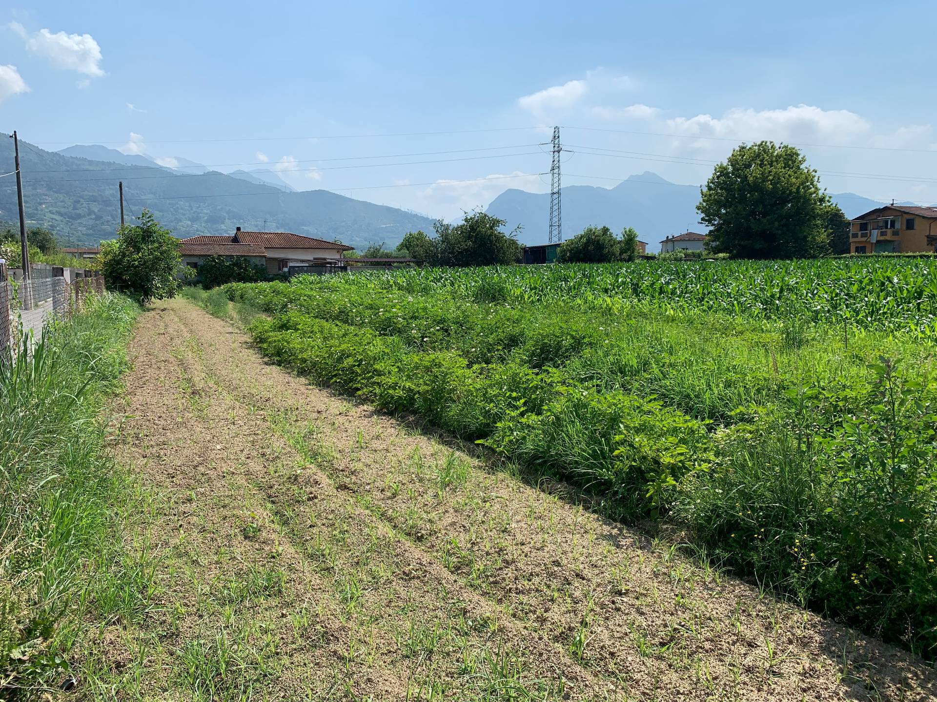 immagine annuncio 2 di 6