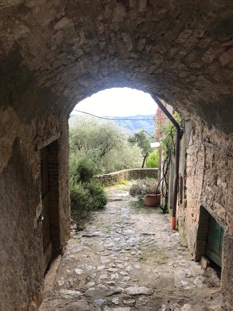 immagine annuncio 5 di 6