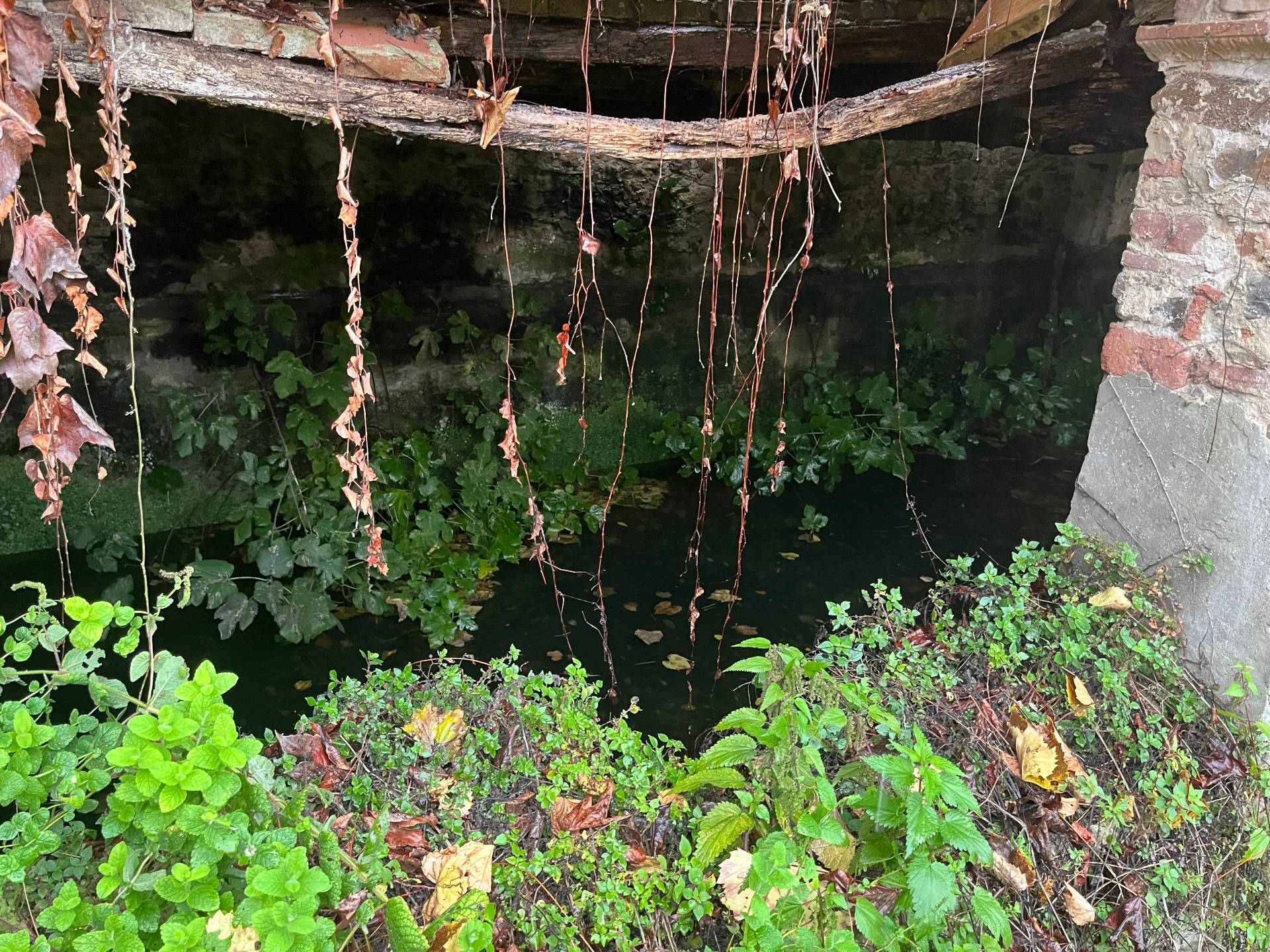 Casa indipendente in vendita a Capannori, Massa Macinaia