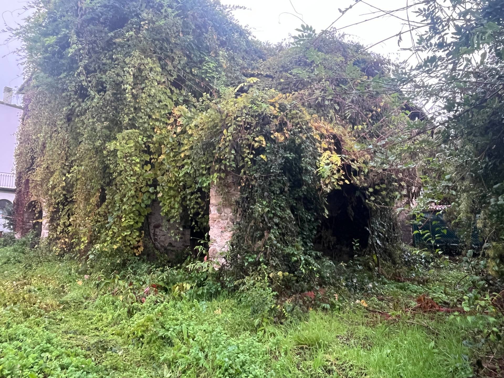 Casa indipendente in vendita a Capannori, Massa Macinaia