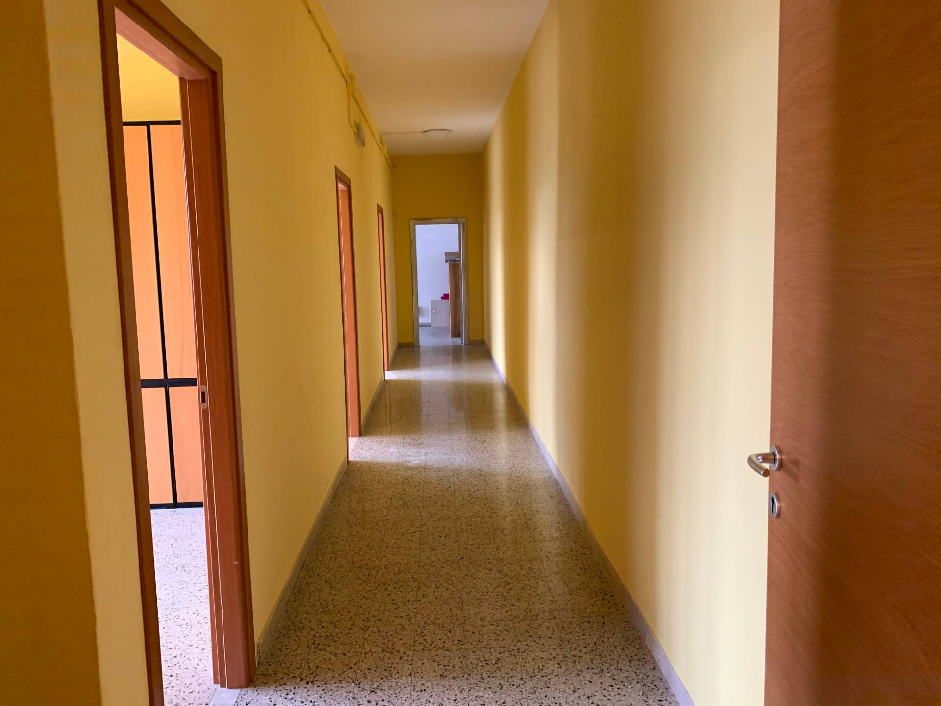 Fondo Commerciale in affitto a Lucca, San Concordio Contrada