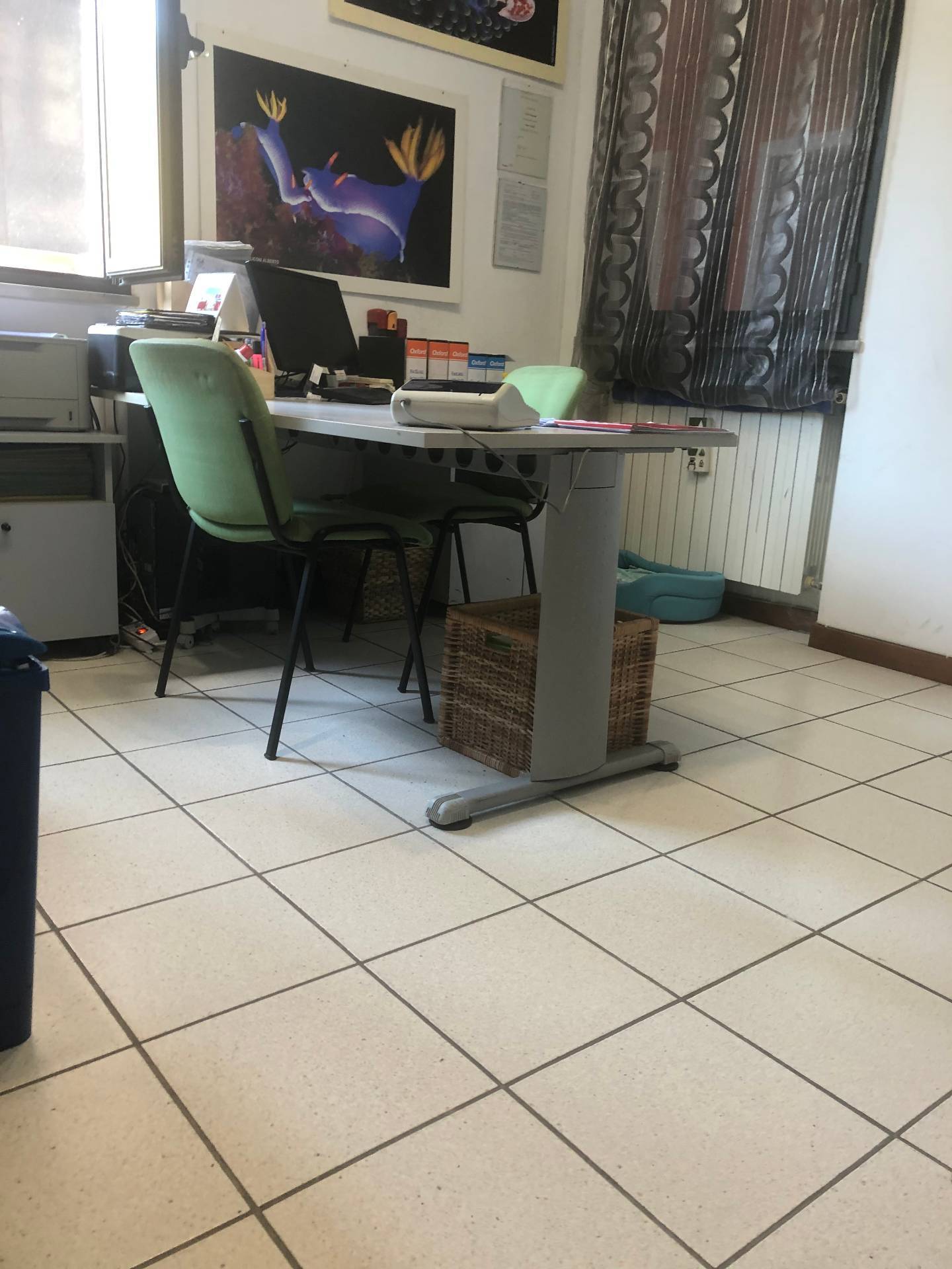 Ufficio in affitto a Altopascio