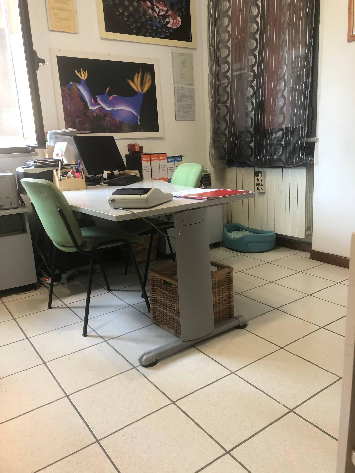 Ufficio in affitto a Altopascio