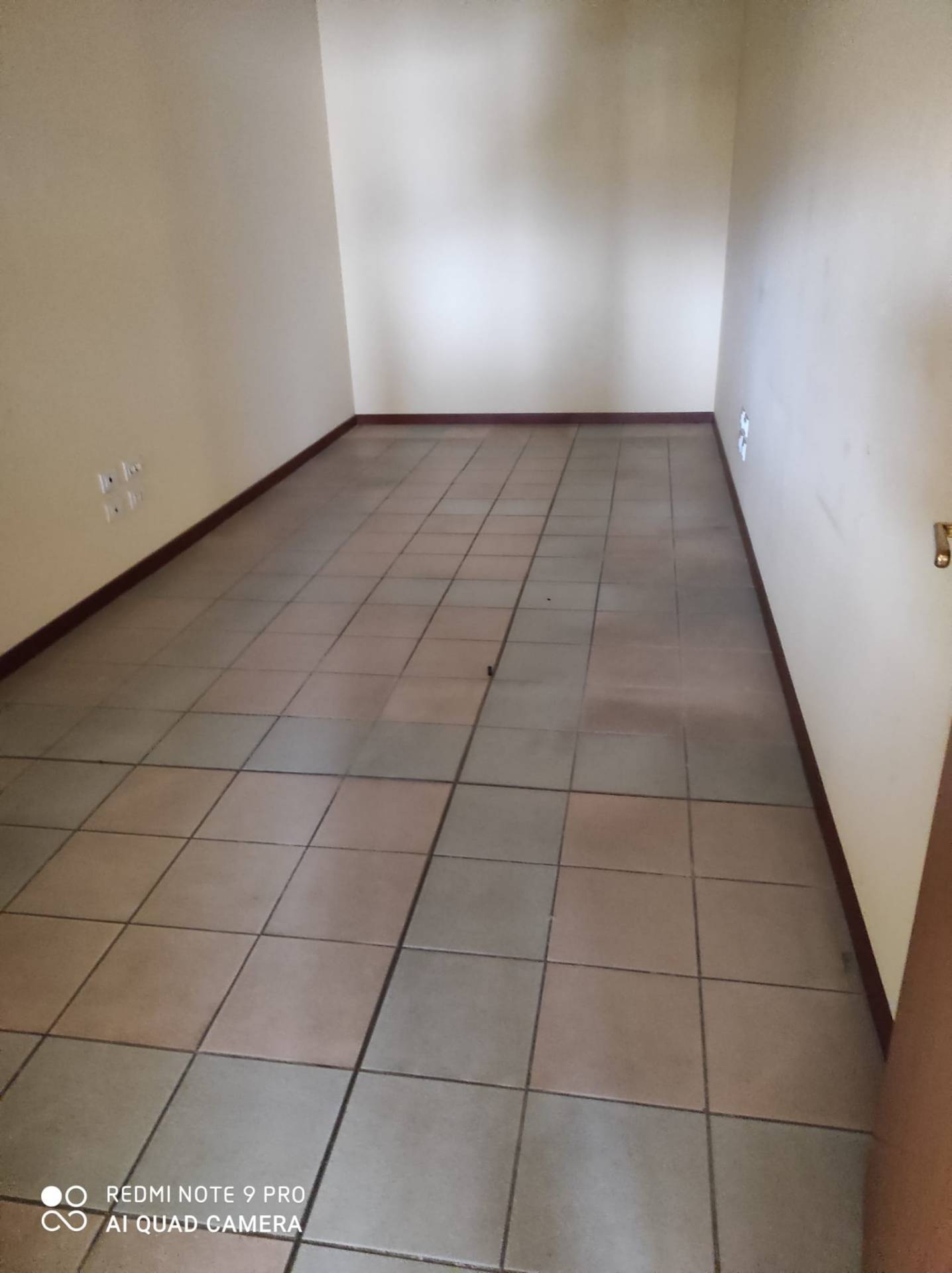 Ufficio in affitto a Lucca, Sant'Anna