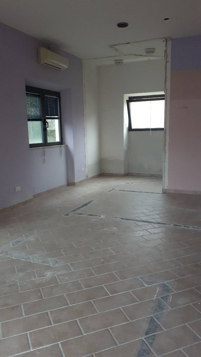 Fondo Artigianale in affitto a Lucca, San Concordio Contrada